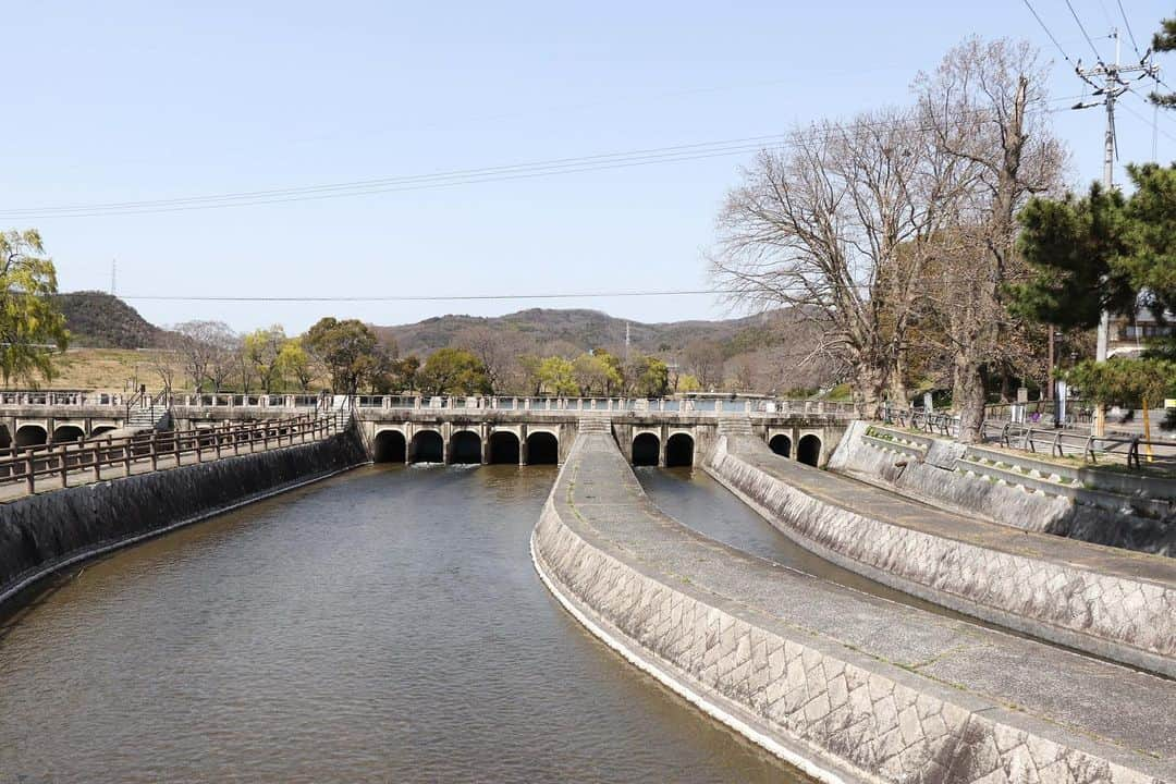 倉敷市さんのインスタグラム写真 - (倉敷市Instagram)「【酒津公園の桜の様子　３月２１日現在】 こんにちは、くらしき情報発信課です。 桜の開花時期のニュースを目にすることが増えてきたので、倉敷市の酒津公園に桜の様子を見に行ってきました。 遠目に少しピンクががったように見えなくもないですが、まだまだ固そうな蕾でした。 予報では、岡山は３月２３日ごろ開花、３月末ごろ満開のようです。 コロナウイルス感染症の影響で酒津公園の提灯は点灯中止、お花見宴会もご遠慮いただくようお願いしているところですが、桜が咲くのは楽しみですね。 ※クラシキ文華　昨年の酒津公園の桜の様子 https://citysales.city.kurashiki.okayama.jp/informati…/2447/ ※クラシキ文華　昨年の美観地区の桜の様子 https://citysales.city.kurashiki.okayama.jp/informati…/2438/  #さくら　#桜　#蕾　#開花 #sakura #酒津公園  #倉敷市 #倉敷 #kurashiki  #クラシキ文華 #クラシキブンカ #kurashikibunka #kurabunka  #japan #japantrip #travel #tri #旅 #旅行 #instgramjapan #visitjapanjp」3月21日 16時44分 - kurashiki_city