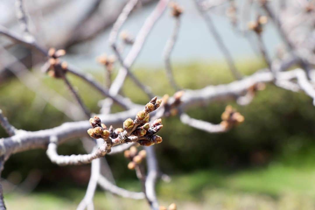 倉敷市のグルメインスタ