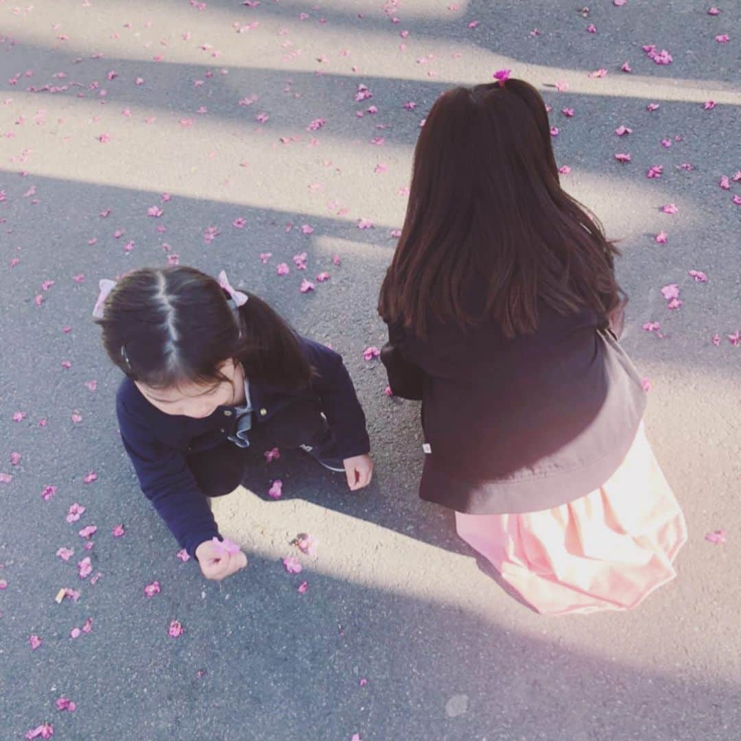 安めぐみさんのインスタグラム写真 - (安めぐみInstagram)「昨日は公園へ☺️ 落ちていた花びらをたくさん集めていました🌸 #花びら」3月21日 16時55分 - yasu_megumi_official