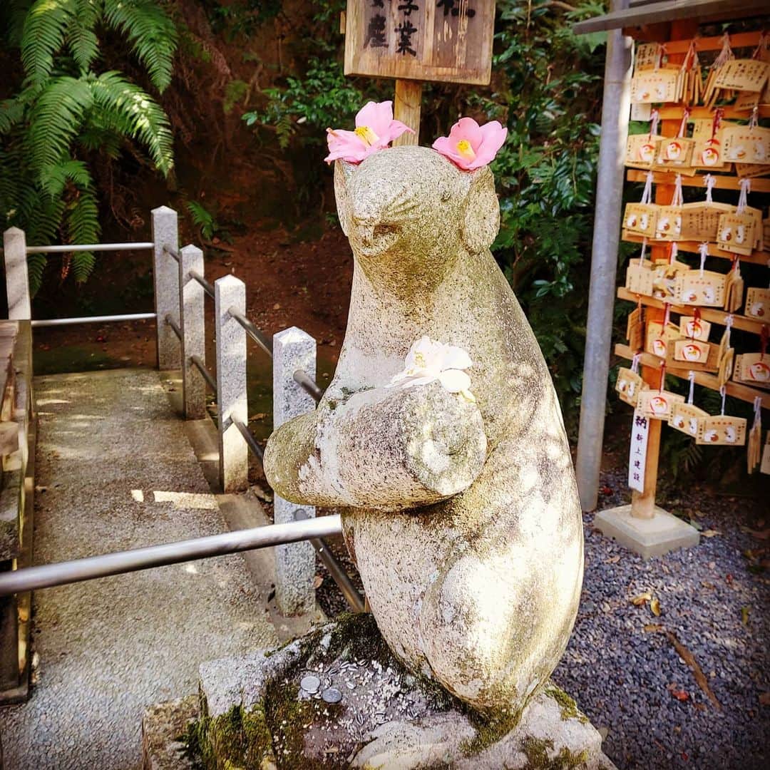 City of Kyoto Official Accountさんのインスタグラム写真 - (City of Kyoto Official AccountInstagram)「#哲学の道 沿いにある #大豊神社 の#狛ネズミ です。 #椿 の花でオシャレをしていてとても可愛らしい姿を見せてくれました。 哲学の道の桜は、まだ一部の早咲きの桜以外は蕾の状態でしたが、連翹や雪柳はキレイに咲いていたので、十分楽しめる状況で、程よく賑わっていましたよ！  #visitkyoto #kyotogenic #kyototravel #art_of_japan #japan_of_insta #loves_united_kyoto #japantrip #kyototrip #ig_kyoto #kyoto_style #springinkyoto #cameria Kyoto Official Travel Guide http://kyoto.travel/en  #京都 #京都ジェニック  #未来に残したい京都  #京都好きな人と繋がりたい #とっておきの京都 #京都椿 #京都穴場  満開 オフィシャルサイト「京都観光NAVI」 http://ja.kyoto.travel」3月21日 16時55分 - visit_kyoto
