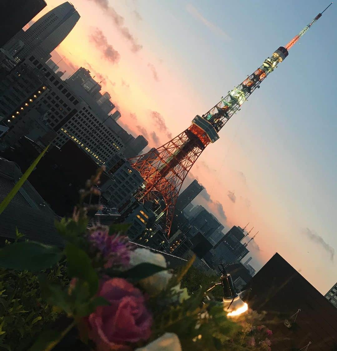 クリスティン・ウェイさんのインスタグラム写真 - (クリスティン・ウェイInstagram)「Enjoying weekend ... #saturday #stayinghome #stayhome #fightwithcorona #tokyotower #tokyoview #bestview」3月21日 17時20分 - prettywhy