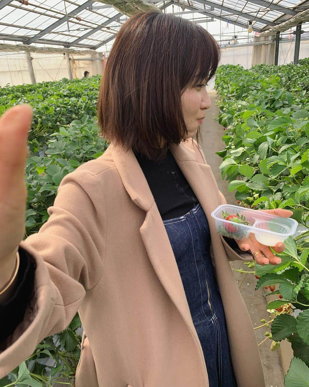 久冨慶子さんのインスタグラム写真 - (久冨慶子Instagram)「・ ちょっと前のいちご狩り🍓 ＊ ＊ #いちご狩り #休日 #制限時間終了前にお腹いっぱいでギブアップ #練乳ごぼした #たくさん写真撮ってくれたけど #変な顔がほとんどでした #🍓」3月21日 17時36分 - keiko0hisatomi