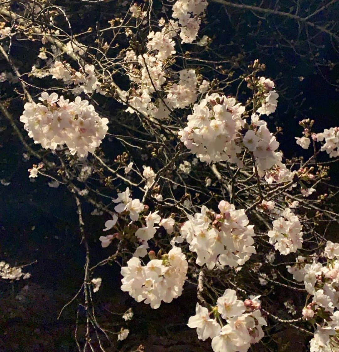 B JIRUSHI YOSHIDAのグルメインスタ