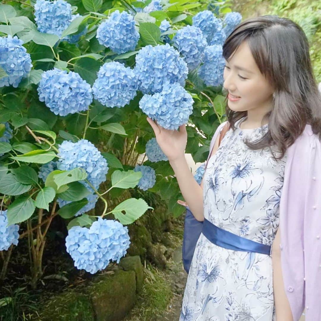 谷中麻里衣さんのインスタグラム写真 - (谷中麻里衣Instagram)「Hydrangeas in Kamakura 💠 . 季節感が大好きなものの、旬なうちに投稿できない人🙋‍♀️」3月21日 18時02分 - marieyanaka