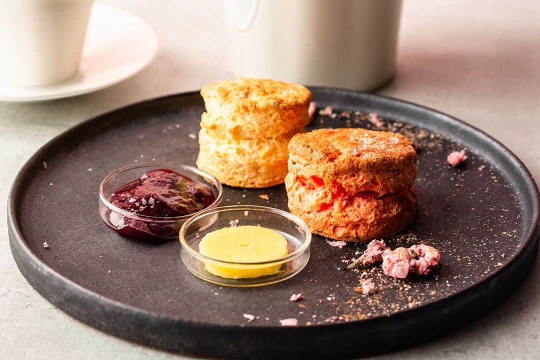 ステラートのグルメインスタ