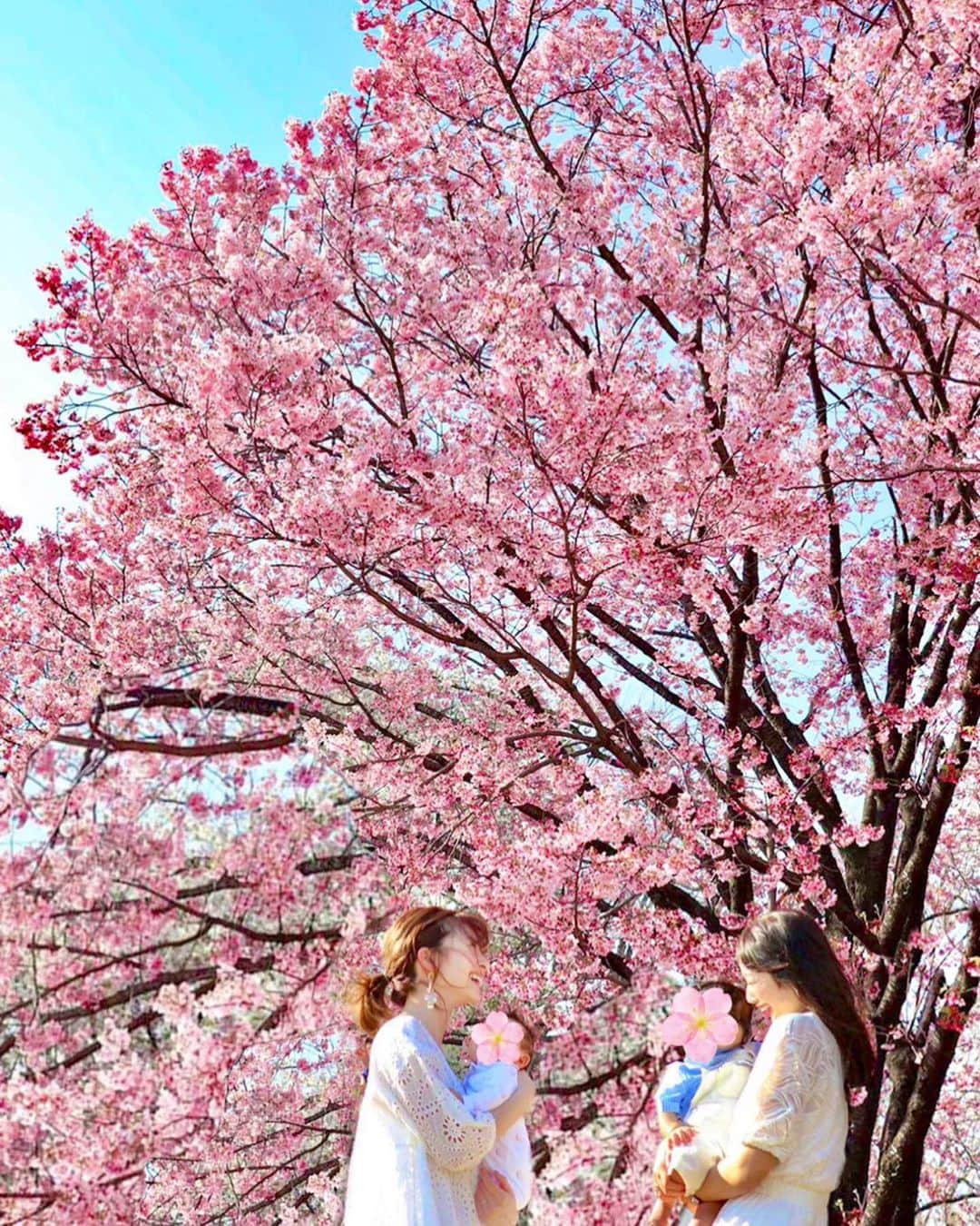越馬千春さんのインスタグラム写真 - (越馬千春Instagram)「. 佐彩familyと新宿御苑をお散歩🌸 . .  佐彩が妊娠中の時から、家族で花見したいね✨ と話してたので👨‍👩‍👦👨‍👩‍👧 今年は花見は出来なかったですが、 桜と写真が撮れて大満足でした🌸👨‍👩‍👦👨‍👩‍👧🌸 . . それにしても本当に良い天気だったな🌞 子供たちもニコニコで嬉しかったです👧❤️👦 . #男の子ママ #2020年桜 #新宿御苑#新宿#桜#sakura#男の子ママ#ベイビー#👶#赤ちゃん#👨‍👩‍👦#babyboy#赤ちゃんのいる生活 #ママライフ#🌸#👨‍👩‍👦👨‍👩‍👧#家族会#cherryblossom」3月21日 19時17分 - chiharukoshiba