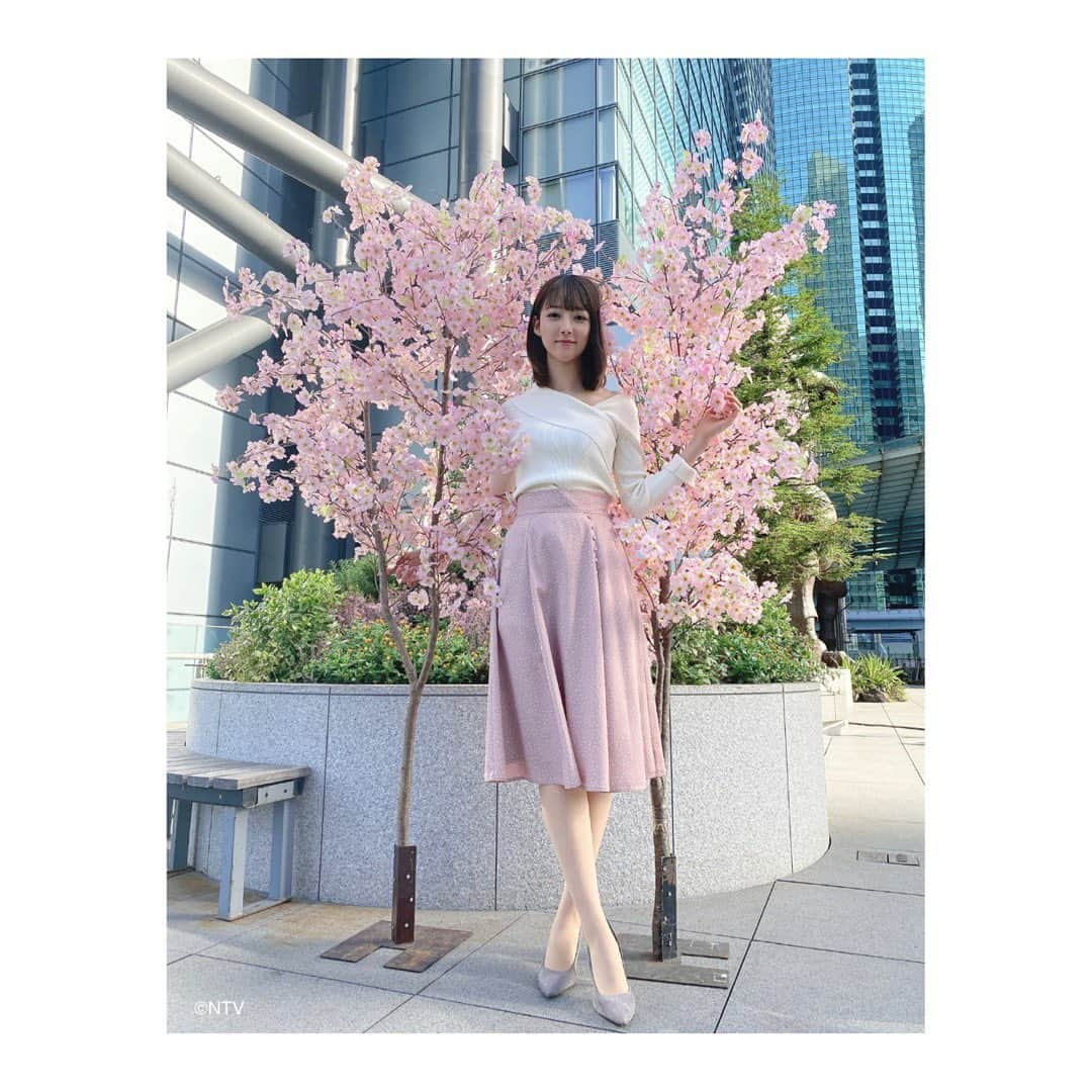 ズームイン!!サタデーさんのインスタグラム写真 - (ズームイン!!サタデーInstagram)「桜色🌸スカートで 散歩でもしたいな〜🚶‍♀️☀️ 桜ってやっぱりいいですよね☺️ みなさんステキな週末を〜❣️ #衣装投票ありがとう #jillbyjillstuart #山崎あみ #ズムサタ #映えた　#桜　#春」3月21日 20時14分 - zumusata