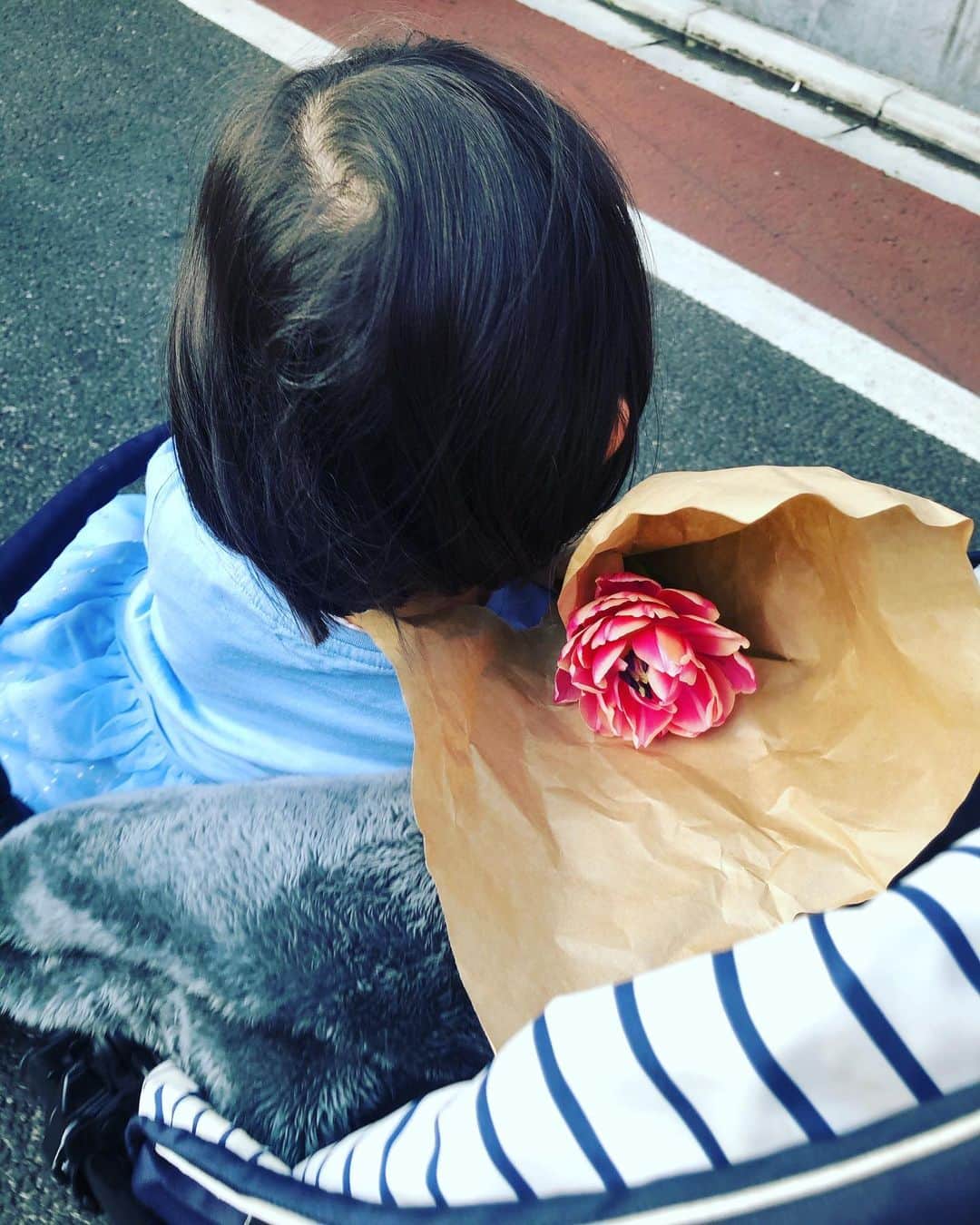 犬山紙子さんのインスタグラム写真 - (犬山紙子Instagram)「子、初めて自分でお花選んで買った 「ママ！赤いお花買いに行こう！」って急かされた 選んだのは赤？ピンクのチューリップ」3月21日 20時19分 - inuyamakamiko