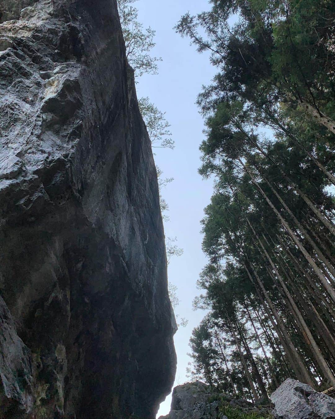 大高伽弥のインスタグラム：「I had a good climbing today🔥🔥🔥 “Pachinko game” 8b+ /14a ✅ “Bancho” 8b /13d ✅  今日は2本も良いルートを完登することが出来ました👍 岩に登らせてもらってる様な不思議な感覚でした。 もちろん、集中したトライだったけどそれくらいフワッと登れてしまった。 それほどに感覚が研ぎ澄まされていた気がする。 本当に気がするだけかも…笑  もし、そうであるならもっと自分の深みに到達出来るよう頑張っていこうと思います🔥 ※写真なくってすみません🙏  @tokyopowder @eyecandyworks #緑風堂鍼灸院  #御前岩 #パチンコゲーム #番長 #奥多摩クライミングセンター #rockclimbing #readclimbing #instinctvsw #scarpa」