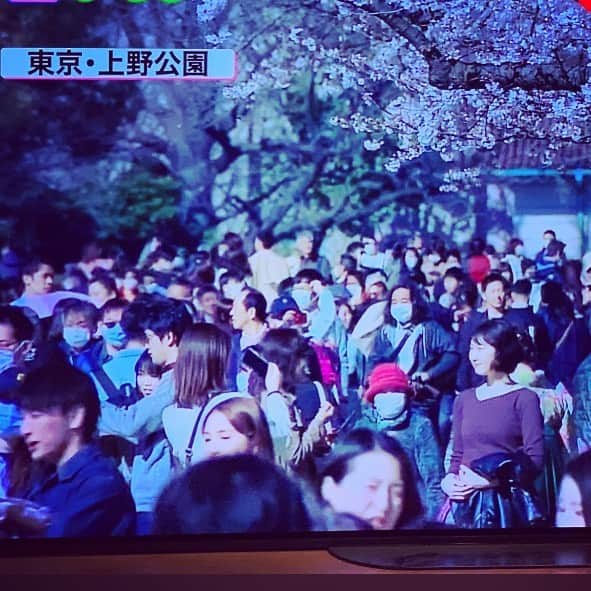 三宅洋平さんのインスタグラム写真 - (三宅洋平Instagram)「え、これ全部サクラでしょ？」3月21日 20時32分 - miyake_yohei