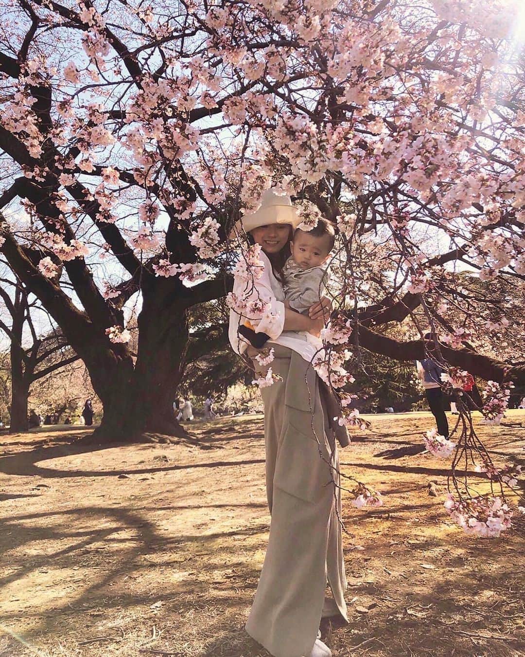 酒匂彩名さんのインスタグラム写真 - (酒匂彩名Instagram)「: 春を満喫できてるかな🌸 大きくなった時に写真を見返して、 あの時は沢山お散歩して桜をみて春を体感してたんだよーって話てあげたいなぁ。 四季や自然を楽しめる子になって欲しいなぁ。 きっと私が仕事復帰したらこんなに色々連れてってあげられないから。 : #桜　#春爛漫　#春の思い出　 #0歳児ママ　#春の散歩　#ソメヨシノ」3月21日 20時41分 - ayanasakoh