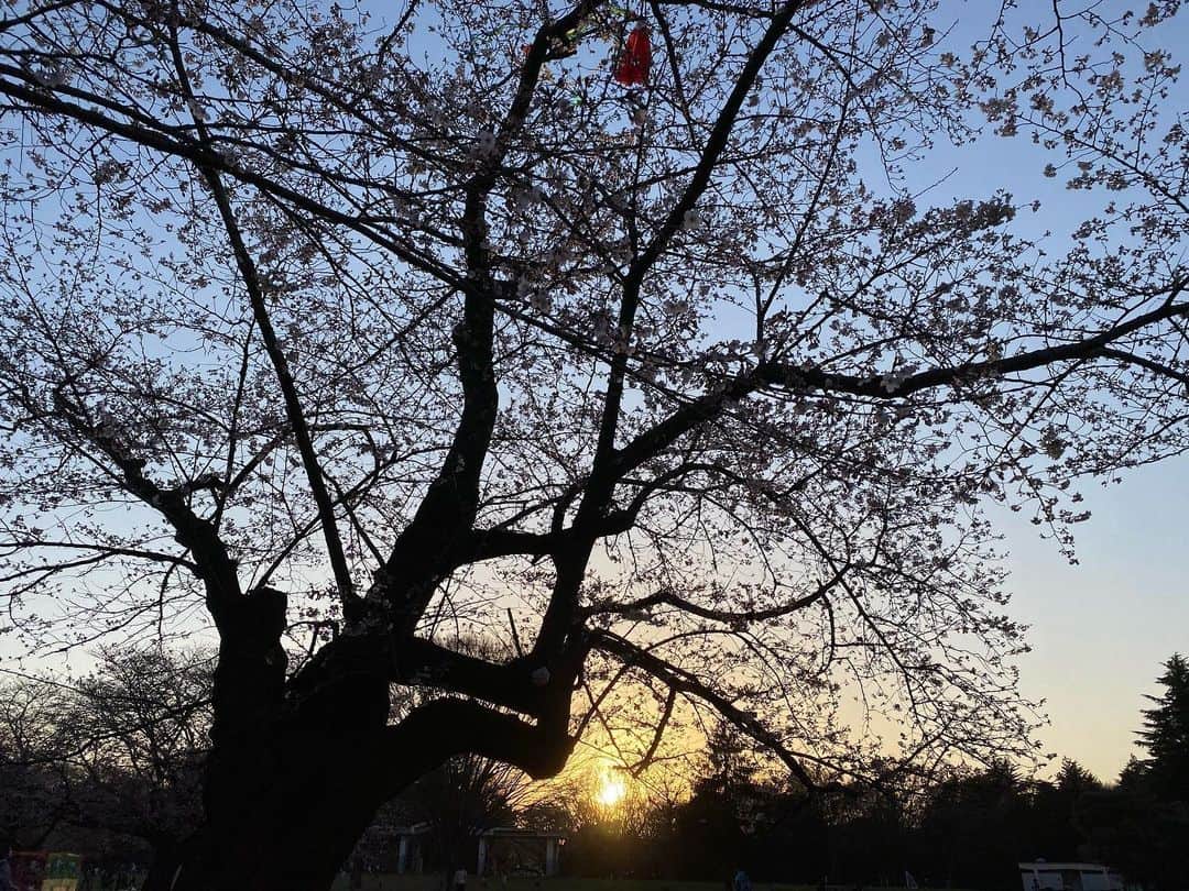 橋本麗香のインスタグラム：「自由に感謝🙏🏻 ． 当たり前は当たり前じゃない ． ありがとうをたくさん感じる🧡 ． #nofilterneeded」