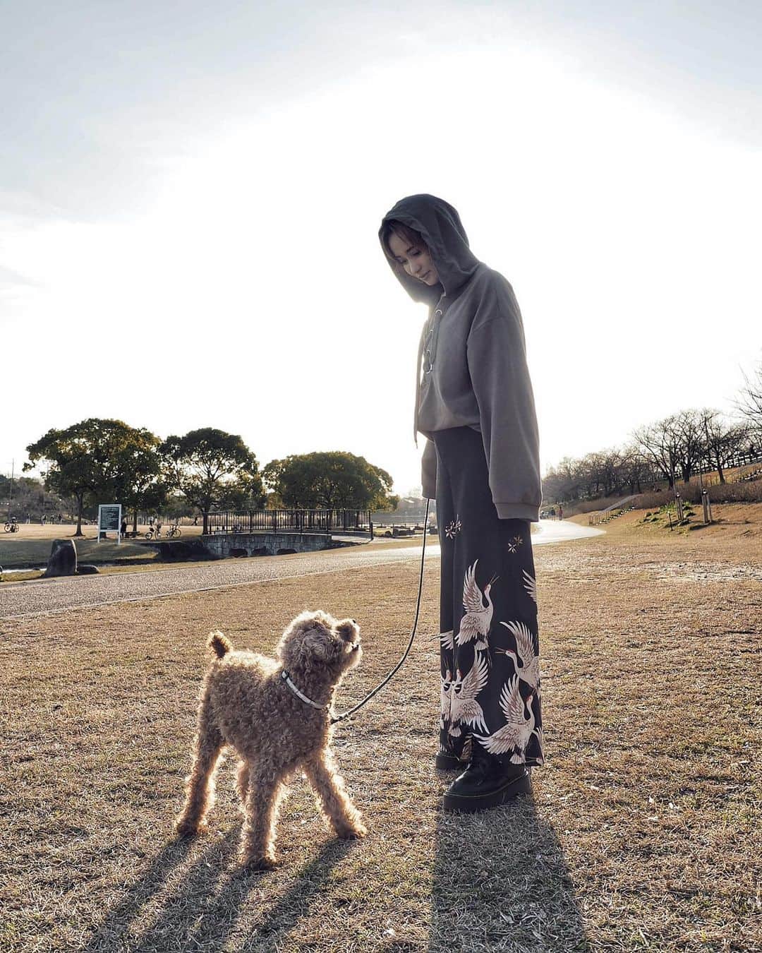 チアコマさんのインスタグラム写真 - (チアコマInstagram)「. . ETみたいなのとれたww . . #et #みんちゃん #doggy #いぬ #いぬすたぐらむ #トイプードル 風のトイプードル #大きな小型犬 #doggy #osaka #大阪」3月21日 20時43分 - chia_koma