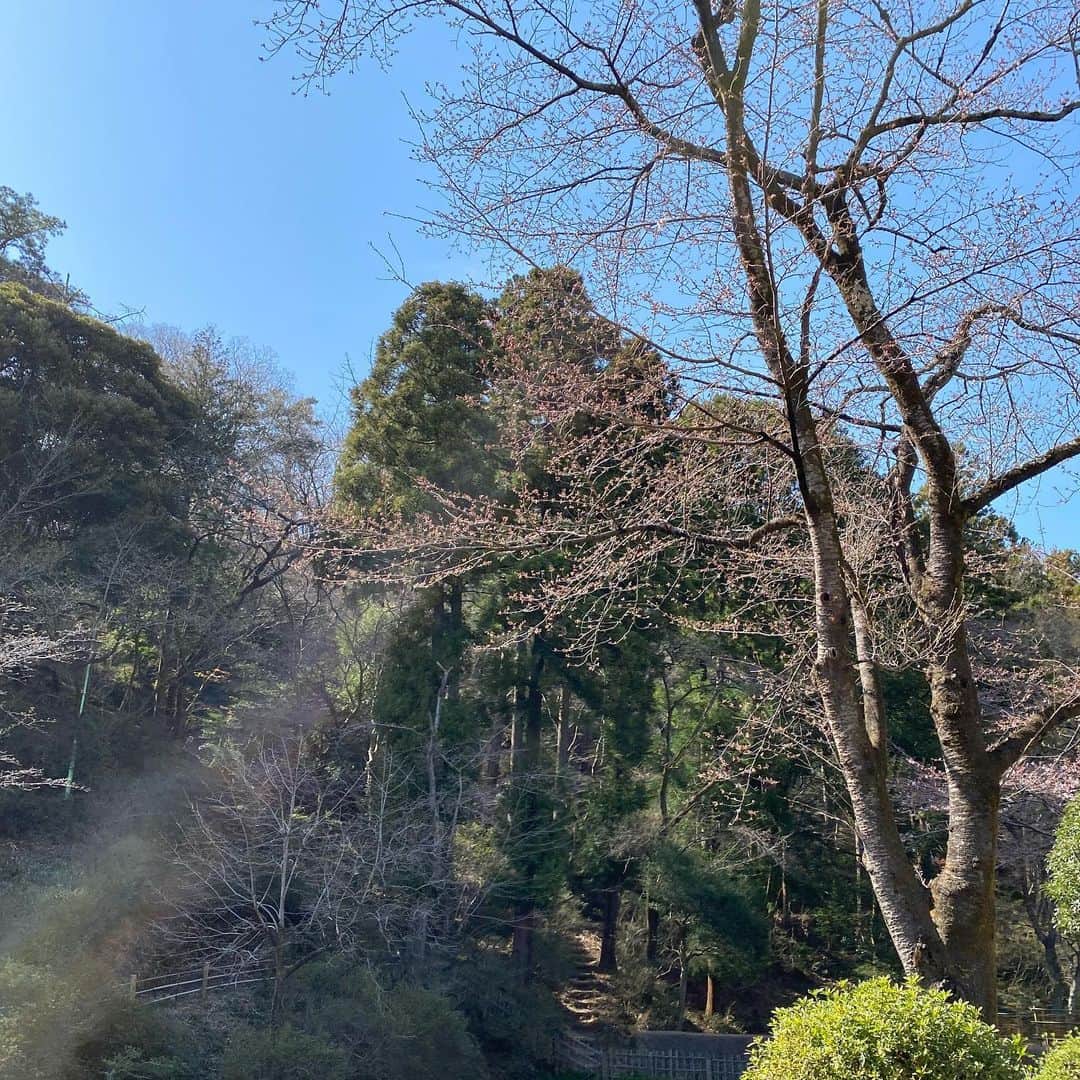 武藤乃子さんのインスタグラム写真 - (武藤乃子Instagram)「✨ 今日の写真。 空が広いところじゃないと、生活できないタイプです。笑  #景色」3月21日 20時58分 - muto_noriko.11