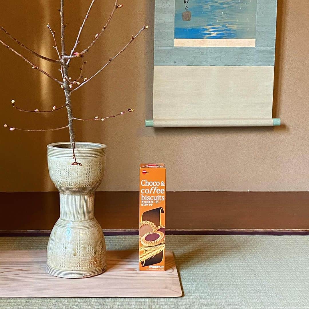 のインスタグラム：「This is パイの実の次に好きなお菓子」