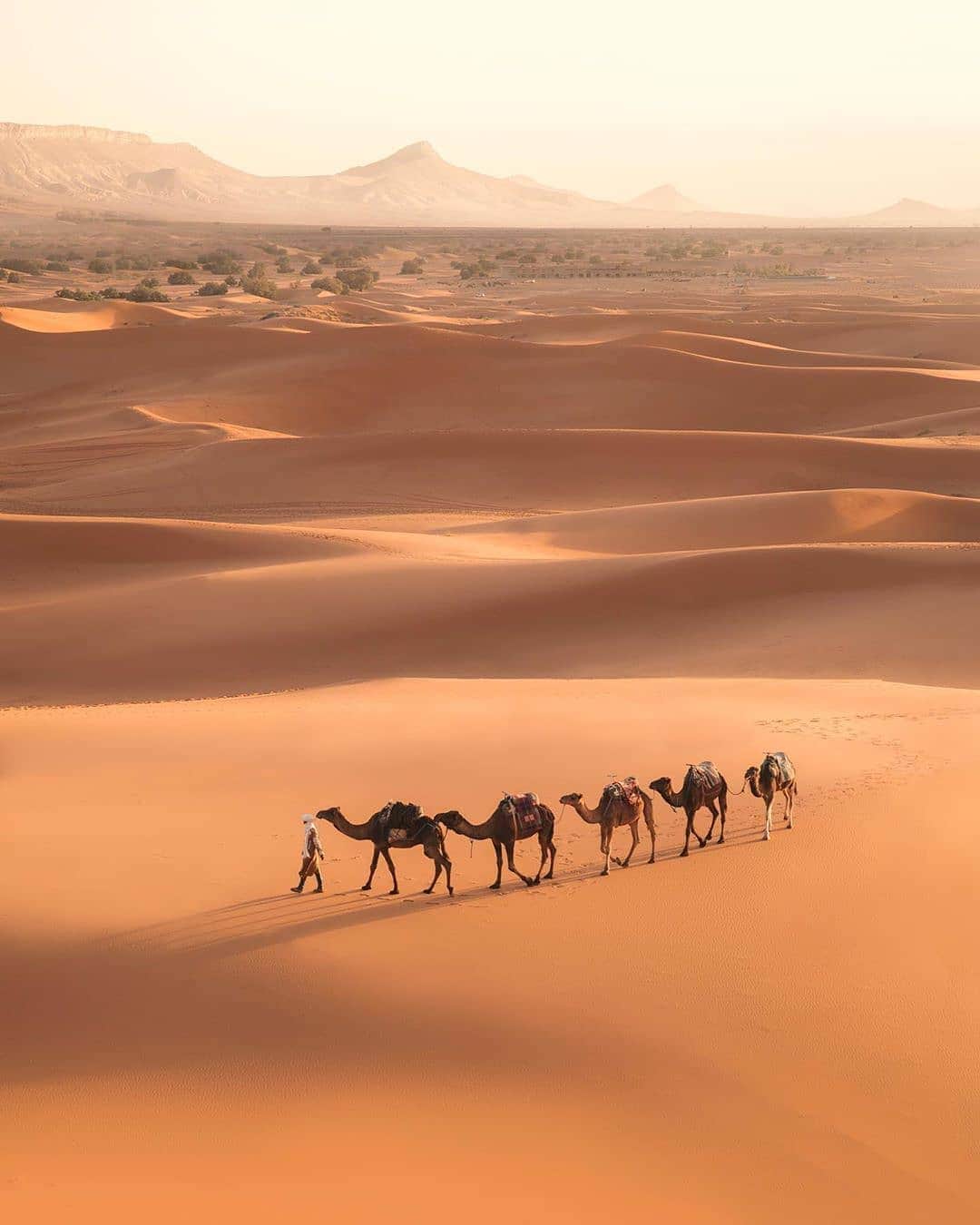 BEAUTIFUL DESTINATIONSさんのインスタグラム写真 - (BEAUTIFUL DESTINATIONSInstagram)「Roaming the Moroccan corner of the Sahara desert. ☀️ Sleeping under the stars, and hiking the massive sand dunes for every sunrise. Sounds like a dream ✨😍 What places are you daydreaming about today? (📸: @emmett_sparling 📍: Sahara Desert, Morocco)」3月21日 22時00分 - beautifuldestinations