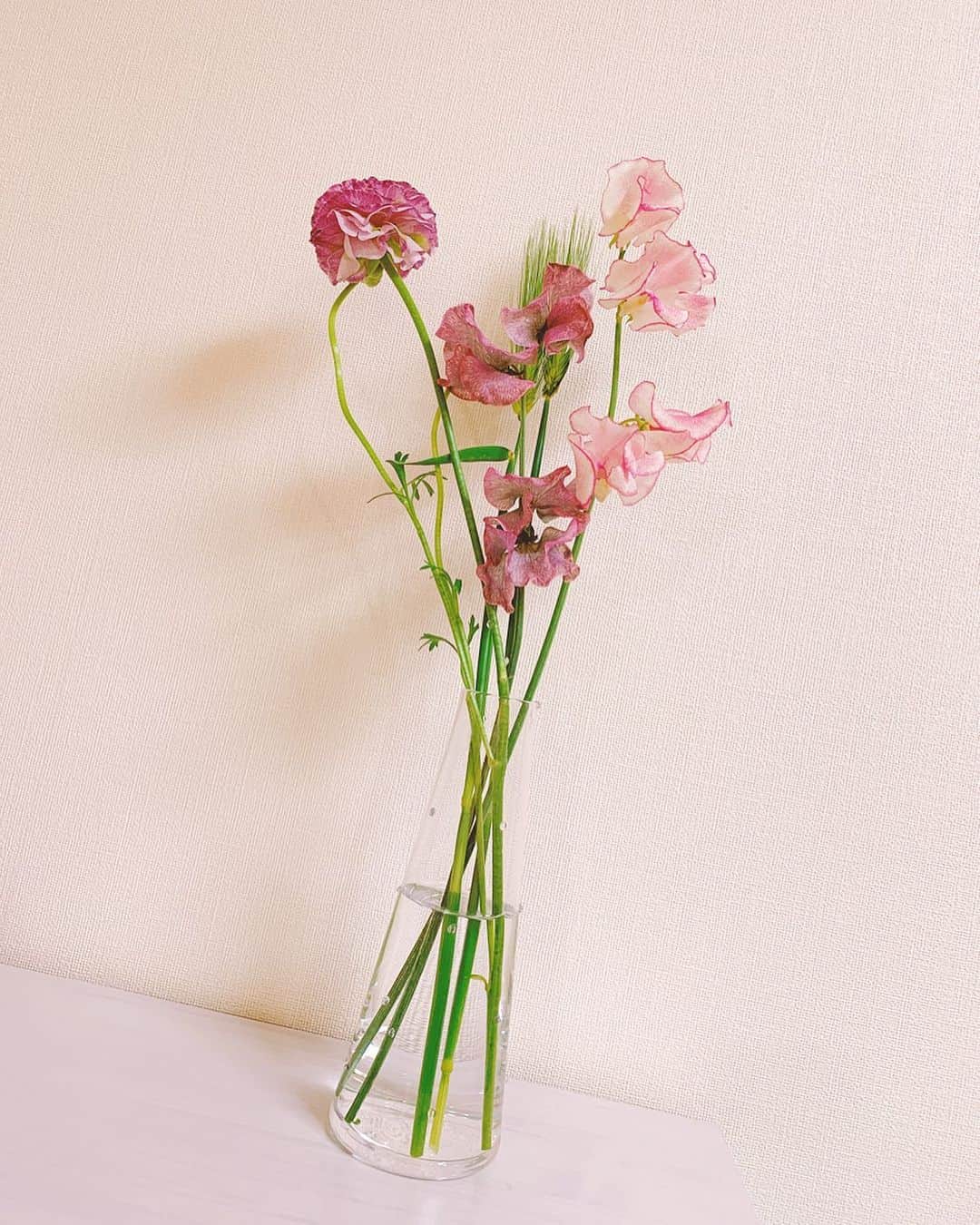 成瀬心美さんのインスタグラム写真 - (成瀬心美Instagram)「🌷 . . 昨日お花屋さんの前を通ったら ピンクなお花がびっしり。 . . 思わず足が止まって ずっと見つめてしまいました。 . 普段自分で お花を買うことはないんだけど 今回ばかしは。 . . 見惚れてしまったお花を手に取り お店をグルグルして 店員さんに 「これには何が合いますか？」 と聞くと、アクセントに麦を、と。 . . グッと素敵になって 早速お家に飾りました。 . . 枯れていくのが寂しくて あまり自分じゃ買わなかったけど お花屋さんに行くのは好きで。 . . やっぱりパワーもらえますね。 . これからはお家にお花を おいてみようっと。 . . #flower #spring」3月7日 14時55分 - coco3ndazo