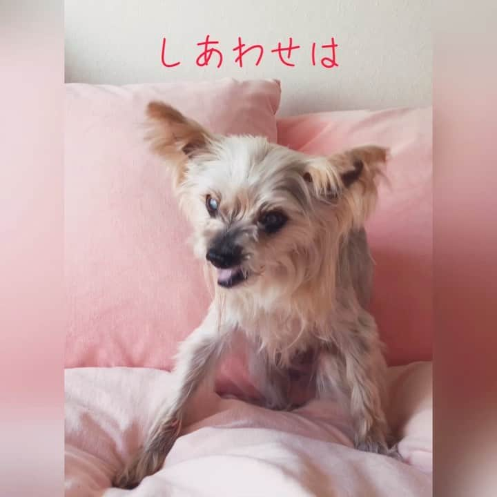 坂本陽子のインスタグラム