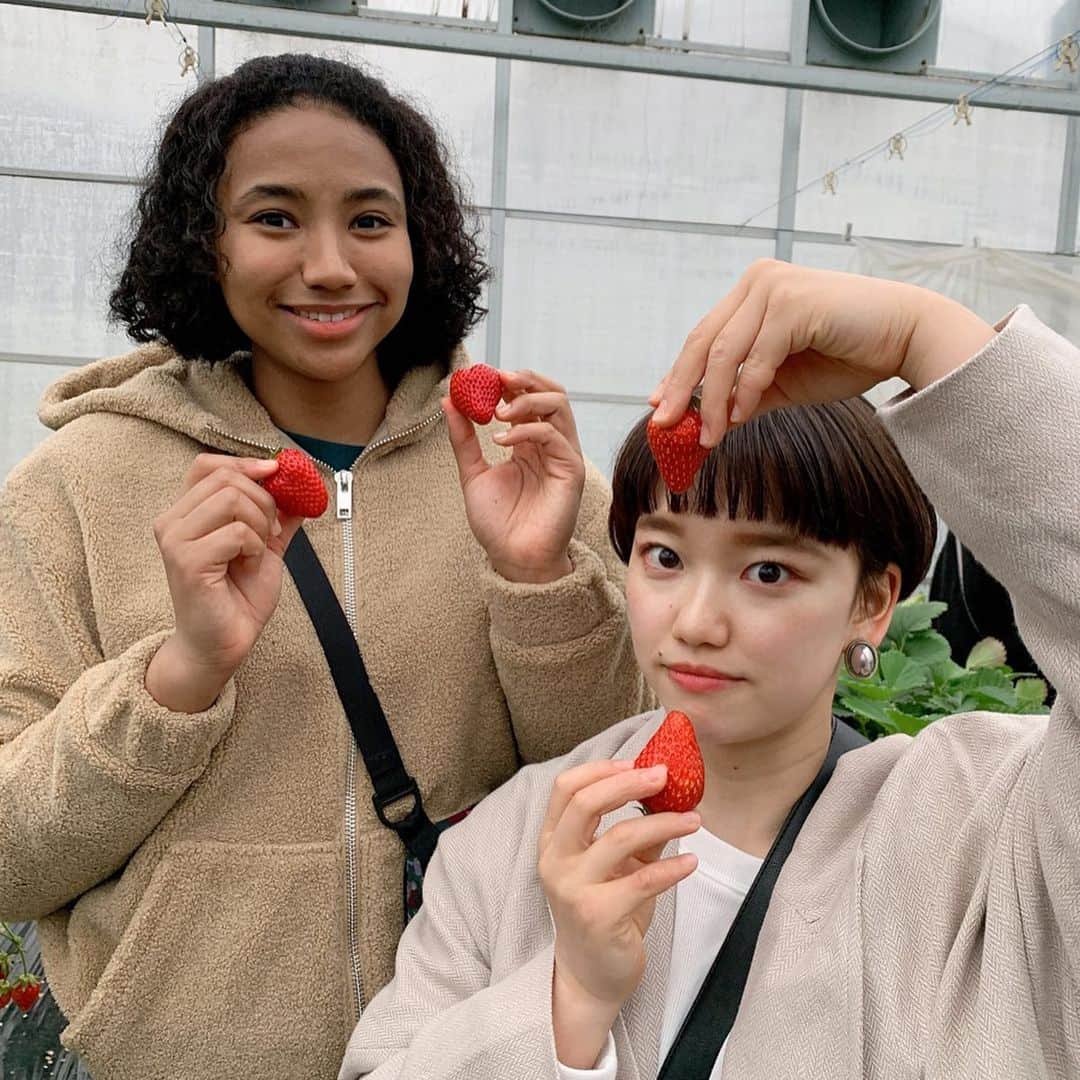 早坂梢依さんのインスタグラム写真 - (早坂梢依Instagram)「いつの日かいちごを狩りにいってきました🍓 ビタミン摂取&たくさん笑ったっ◡̈⃝︎ 楽しかった〜 のーむ、とぅー、ちき、ありがとうね〜❤︎ #デンソーエアリービーズ #Vリーグはバレーだよ #ころのお腹は∞」3月7日 13時35分 - kozue_hayasaka