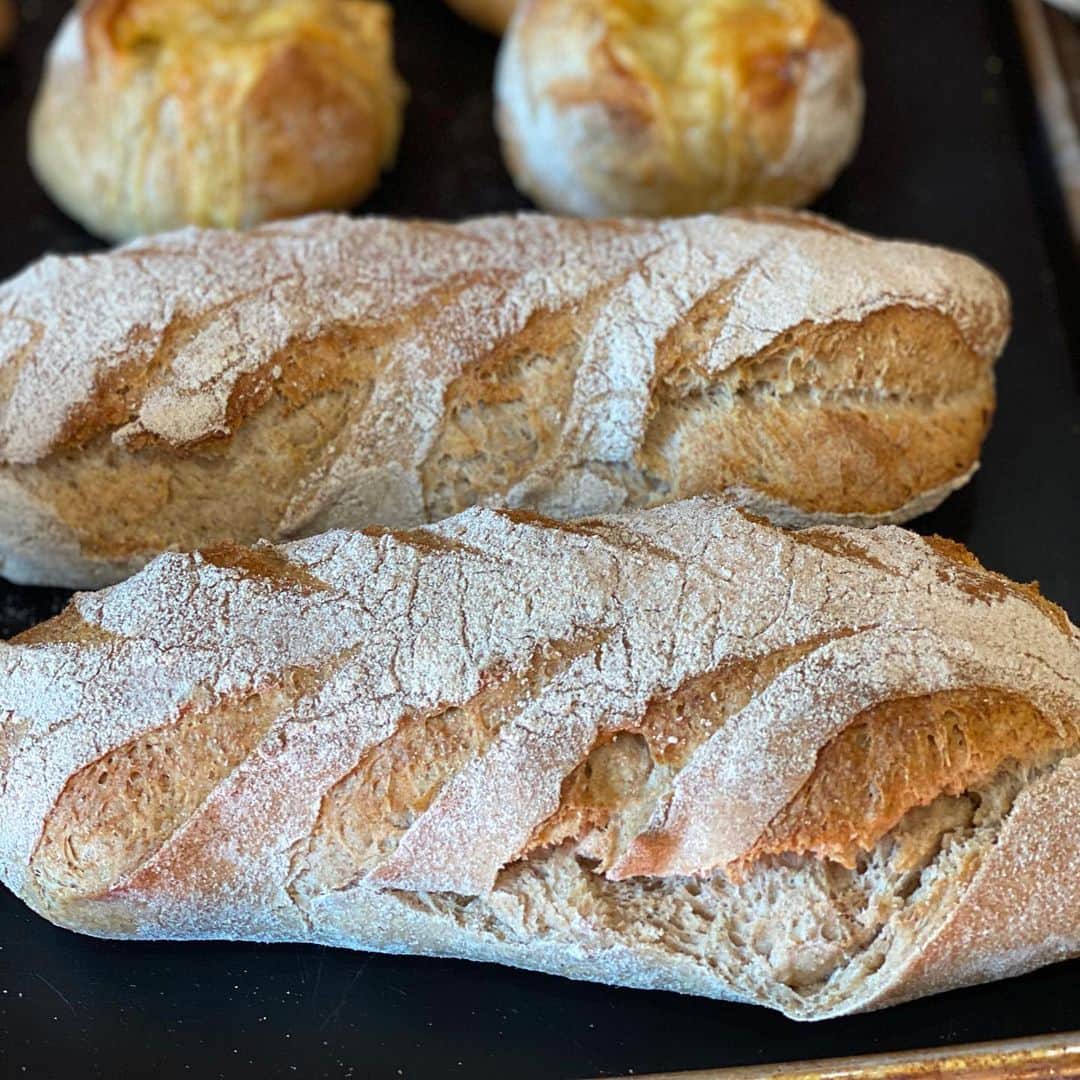 魔女菅原さんのインスタグラム写真 - (魔女菅原Instagram)「ハード系パンを断面でご紹介します💕 【パン・ペイザン】 「農夫のパン」の意味で、素朴な風合いのパンです。小麦全粒粉とライ麦粉と小麦粉の割合が0.5:0.5:1  ザクザクした食感とクラストの香ばしさが身上の生地自体がおいしいパンです。  #パンペイザン #盛岡のパン屋さん #ハード系パン #発酵種法 #自家製天然酵母のパン屋さんカンパーニュ #魔女菅原」3月7日 13時39分 - hatsuyosugawara