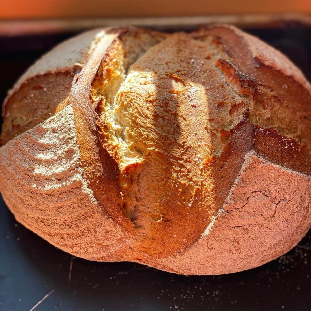 魔女菅原のグルメインスタ