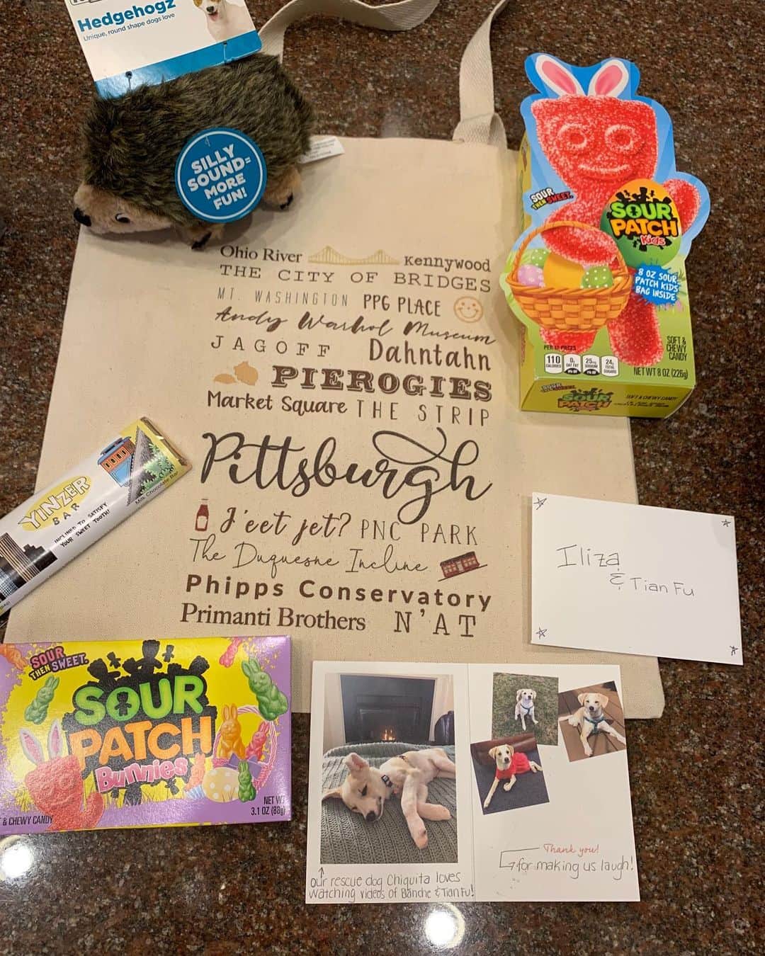 イリザ・シュレシンガーさんのインスタグラム写真 - (イリザ・シュレシンガーInstagram)「This one nails it. Beautiful rescue pup Chiquita on the card! She loves my dog videos ❤️ - #spk some #yinzer chocolate (See you Nov 19 in Pittsburgh!) and toys for Tian Fu! Thank you @mrsperfect77」3月7日 6時43分 - ilizas