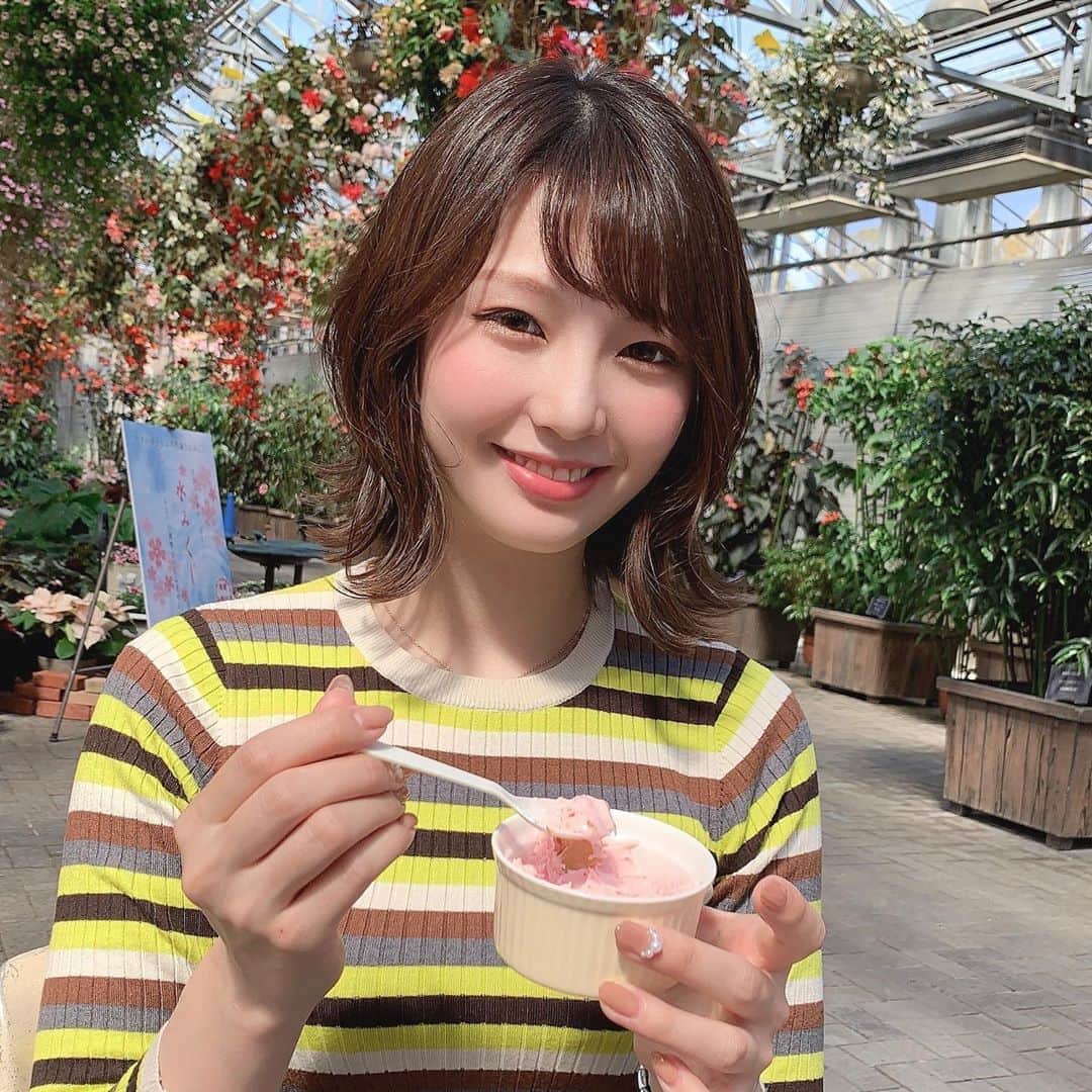 せなななせのインスタグラム：「♡ おはみにょん🐇 桜アイス食べたよ🌸🌸🌸 ・ ・ ・ #なばなの里 #なばなの里ベゴニアガーデン #ボブヘアアレンジ #ふんわり #おいしかった #アイス #春コーデ #まだ寒い #ファインダー越しの私の世界 #カメラ #instagood #fff #followｍe #cafe #picture #japan #nagoya」