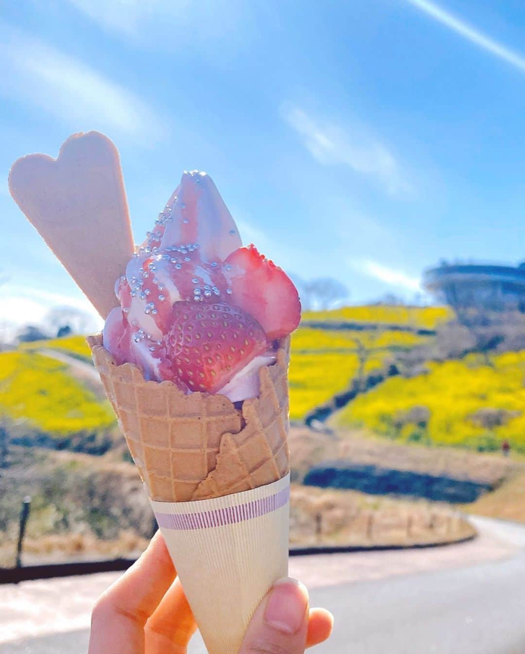 佐倉知里さんのインスタグラム写真 - (佐倉知里Instagram)「♡🍓🍦 ♡ . 牧場のアイス＋ 農園の苺＋ ぽかぽか太陽 ＝ 最高でした😋💓 . . . . . . . #マザー牧場#牧場アイス#苺ソフト #乳搾り#映えスイーツ#可愛いし美味しかった#ペロリ#アイスついてますよ#アラザン懐かしい#晴天」3月7日 15時09分 - chisa_tiara