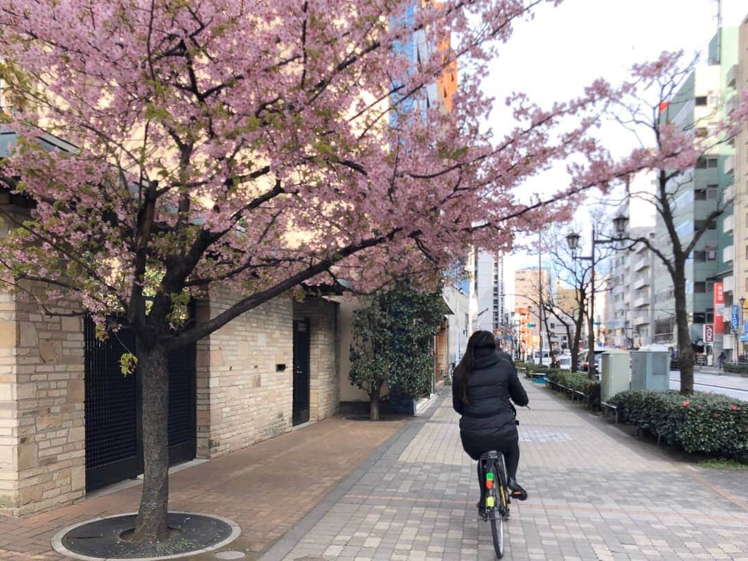 七海ひろこさんのインスタグラム写真 - (七海ひろこInstagram)「池袋の街を、自転車にて。  前を走ってくれる自転車に付いていくのは、何だか不思議な安心感。  初めての道も、初めてではないように感じます。  本当にありがとうございます🌸  #自転車に乗って #自転車女子 #桜の道 #桜のある風景 #自助論で行こうよ #幸福実現党 #幸福実現 #七海ひろこ」3月7日 10時20分 - nanamihiroko_