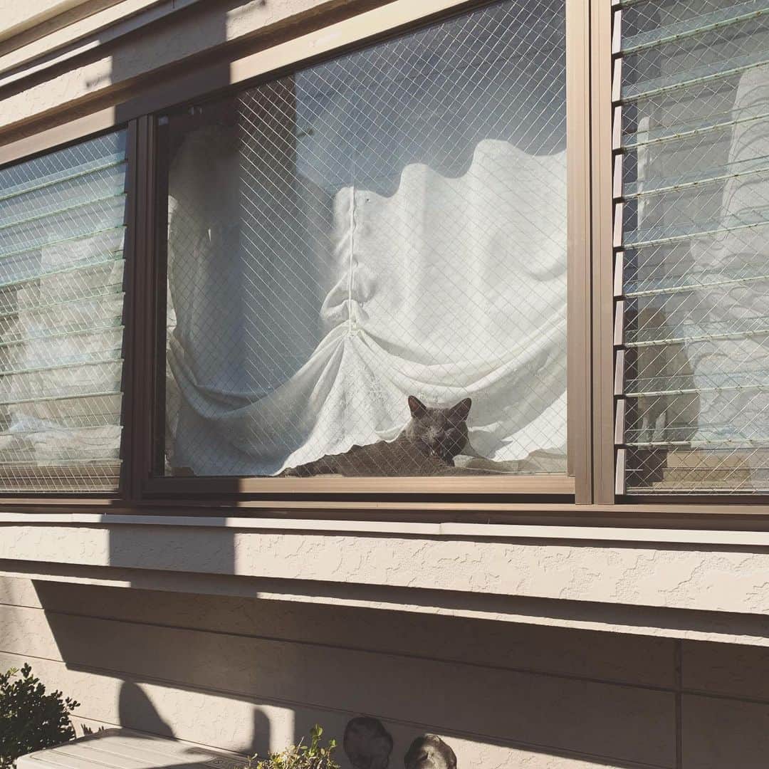 秋乃ゆにのグルメインスタ