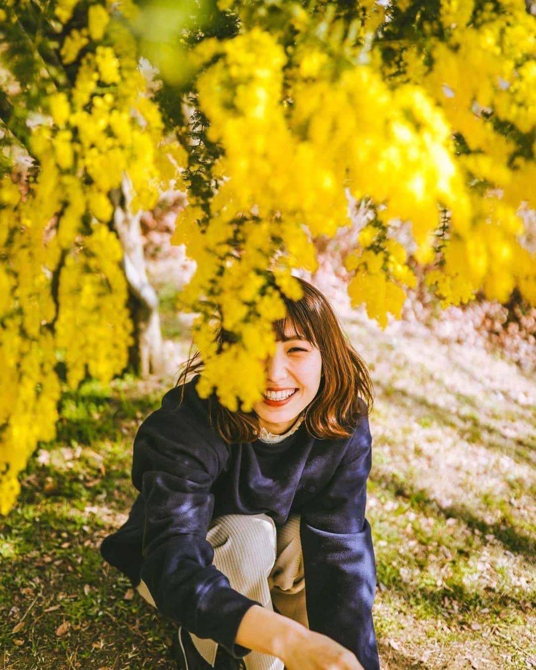 asoview! のインスタグラム：「× Hiro.photo（@ya_hi.photo ） 到津の森公園に咲き誇る、 黄色いミモザに笑顔が溢れます😊 . ミモザの開花時期は2月中旬〜3月中旬。 . 黄色い花々に包まれて、 春の訪れを感じてみてはいかがでしょうか？ . ======================= 場所：到津の森公園 住所：福岡県北九州市小倉北区上到津４－１－８ アクセス：北九州都市高速「山路IC」より車で15分 ======================= . 今週末のおでかけにお役立てください♪ . #アソビュー で想い出を共有しよう！ 素敵な投稿はストーリーズやウォールでご紹介します✨✨ . #ダレカニミセタイフウケイ #ダレカニミセタイケシキ #ファインダー越しの私の世界 #ファインダー越の風景 #お写んぽ #カメラ散歩 #カメラのある生活 #カメラ女子 #写真が好きな人と繋がりたい #旅行好きな人と繋がりたい #国内旅行 #国内旅行好き #インスタ探検隊 #日本再発見 #キリトリセカイ #広がり同盟 #毎日が笑顔で溢れてる #その瞬間に物語を #広がり同盟 #楽天もう一度行きたい旅 #サンクチュアリ出版フォトコンテスト #シブセイcurbon写真展 #私が紡ぐ物語 #jp_portrait部 #到津の森公園 #ミモザ #インスタ映え」