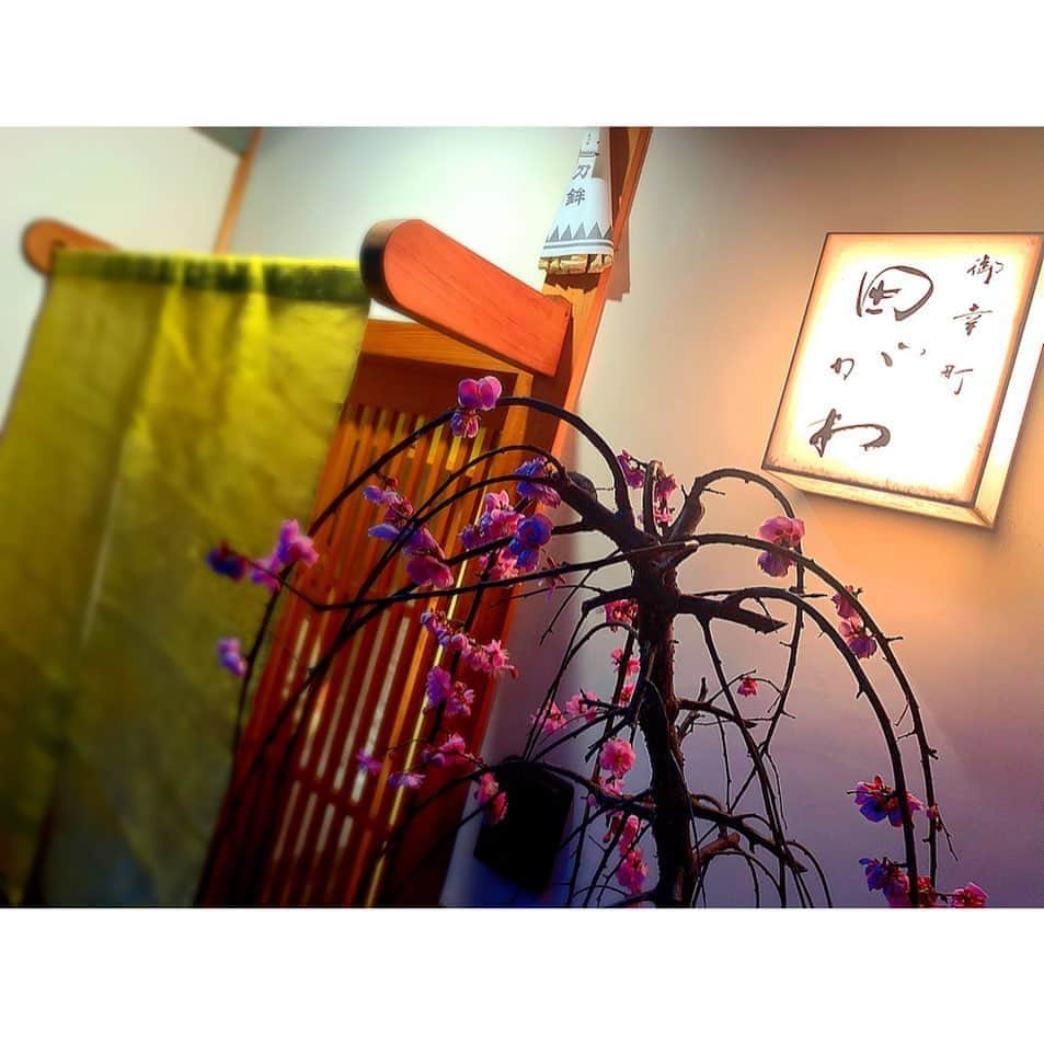 百合華さんのインスタグラム写真 - (百合華Instagram)「京都の御幸町夷川に佇むミシュラン一つ星の和食割烹『御幸町 田がわ』にて雛祭りディナータイム🎎💕 ﻿ ﻿ 蒸し寿司や蛤のお吸い物がまさに風物詩感🎶﻿ ﻿ 大将は三重県御出身との事でこの上ない郷土愛に包まれた春のコース料理となっておりました🥰﻿ ﻿ 厳選食材達と真っ直ぐに向き合う真剣な眼差しからは想像できないユーモアあふれるプレゼンテーション✨﻿ ﻿ お客様の笑顔を大切に想ってくださる大将の温かい御人柄も感じられ、食を通して雛祭りを愉しみながらの素敵なひとときで御座いました❤️﻿ ﻿ #japan﻿ #日本﻿ #kyoto﻿ #京都﻿ #御幸町﻿ #ミシュラン一つ星﻿ #michelinstar ﻿ #michelin1star ﻿ #和食割烹﻿ #ディナータイム﻿ #コース料理﻿ #雛祭り﻿ #ひなまつり﻿ #蒸し寿司﻿ #蛤﻿ #お吸い物 ﻿ #郷土愛﻿ #プレゼンテーション﻿ #美食﻿ #美食家﻿ #aumoグルメ」3月7日 13時21分 - yurika.lovelily