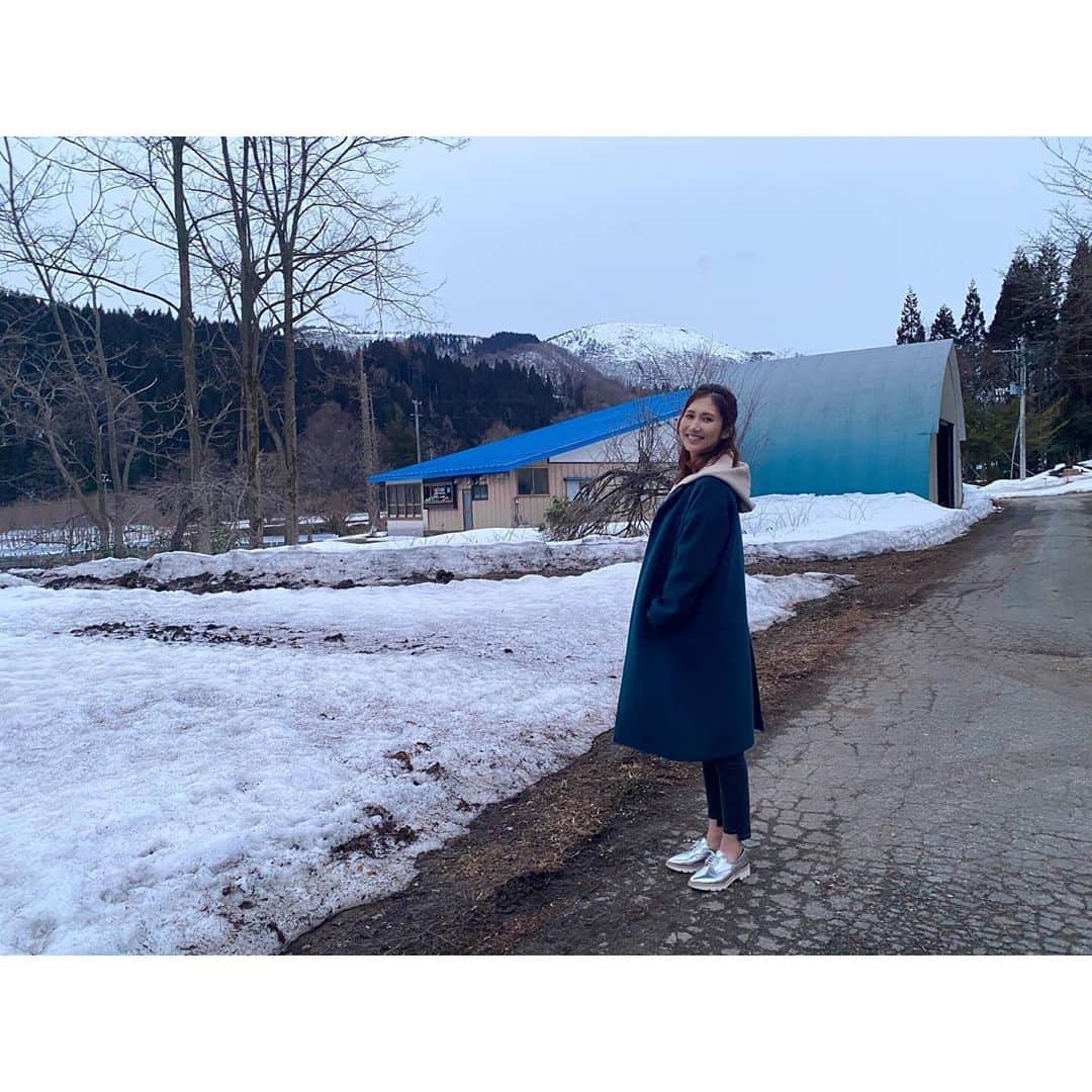 春輝のインスタグラム：「雪国は勿論寒かったけど、 今日東京も寒くなかったですかい((((;´･ω･｀))))ｶｸｶｸﾌﾙﾌﾙ  #春輝#Haruki」