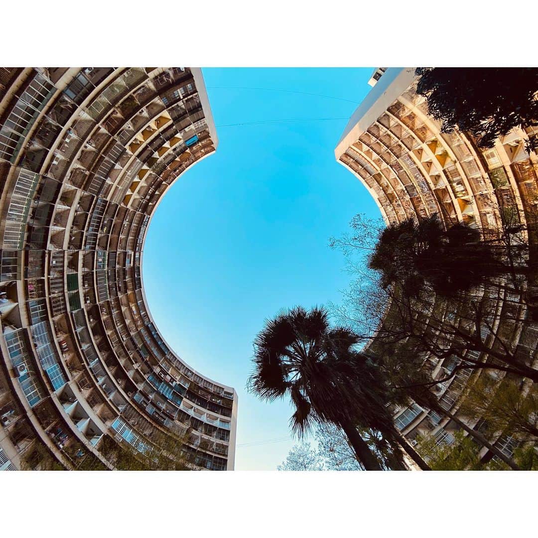 千田愛紗さんのインスタグラム写真 - (千田愛紗Instagram)「好酷的建築🏢 #果貿社區 #taiwan #kaohsiung」3月7日 23時40分 - aisa1108