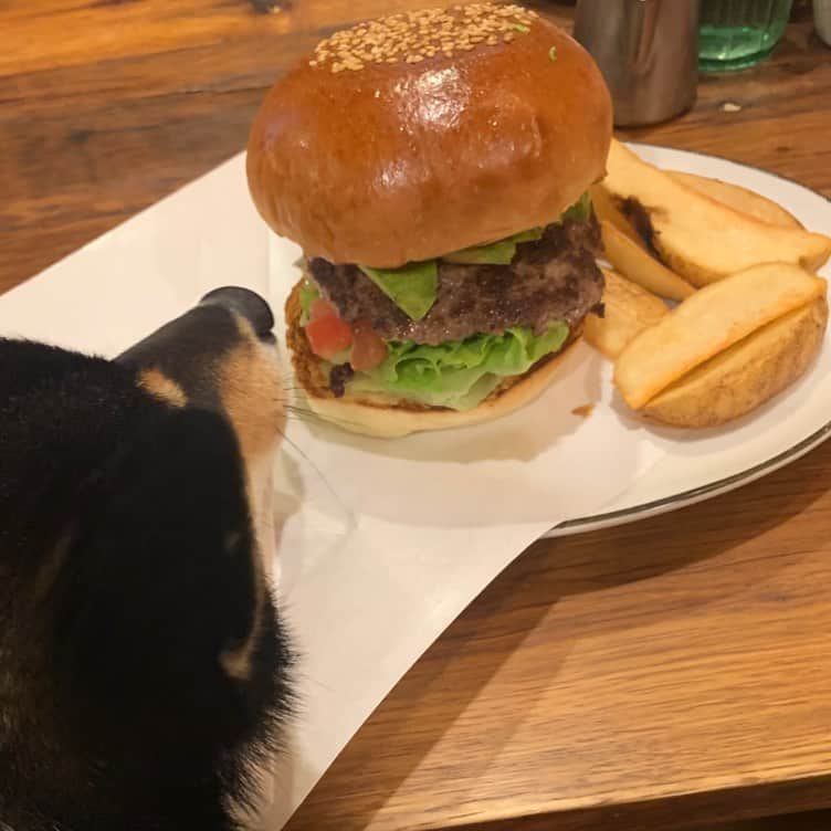 岩瀬玲のグルメインスタ