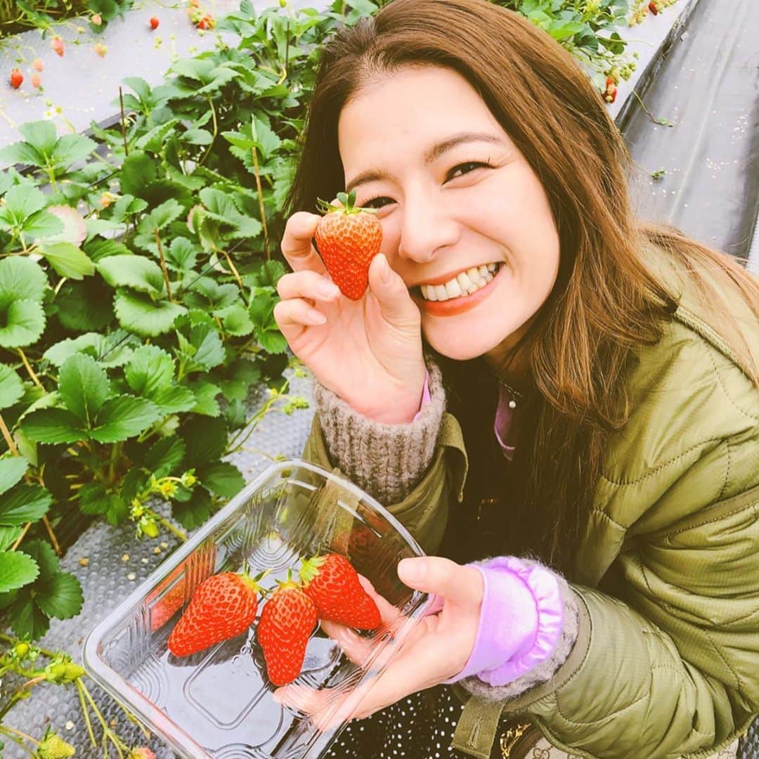 スザンヌのグルメインスタ