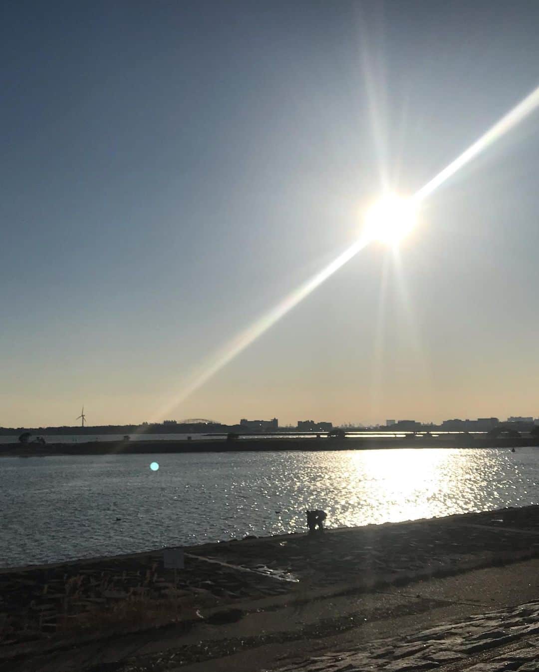 渡部純平さんのインスタグラム写真 - (渡部純平Instagram)「良い週末を！ . . Stay positive☀️ The sun give a motivation and energy. Have a good weekend🤙」3月7日 17時12分 - junpei_wt7b