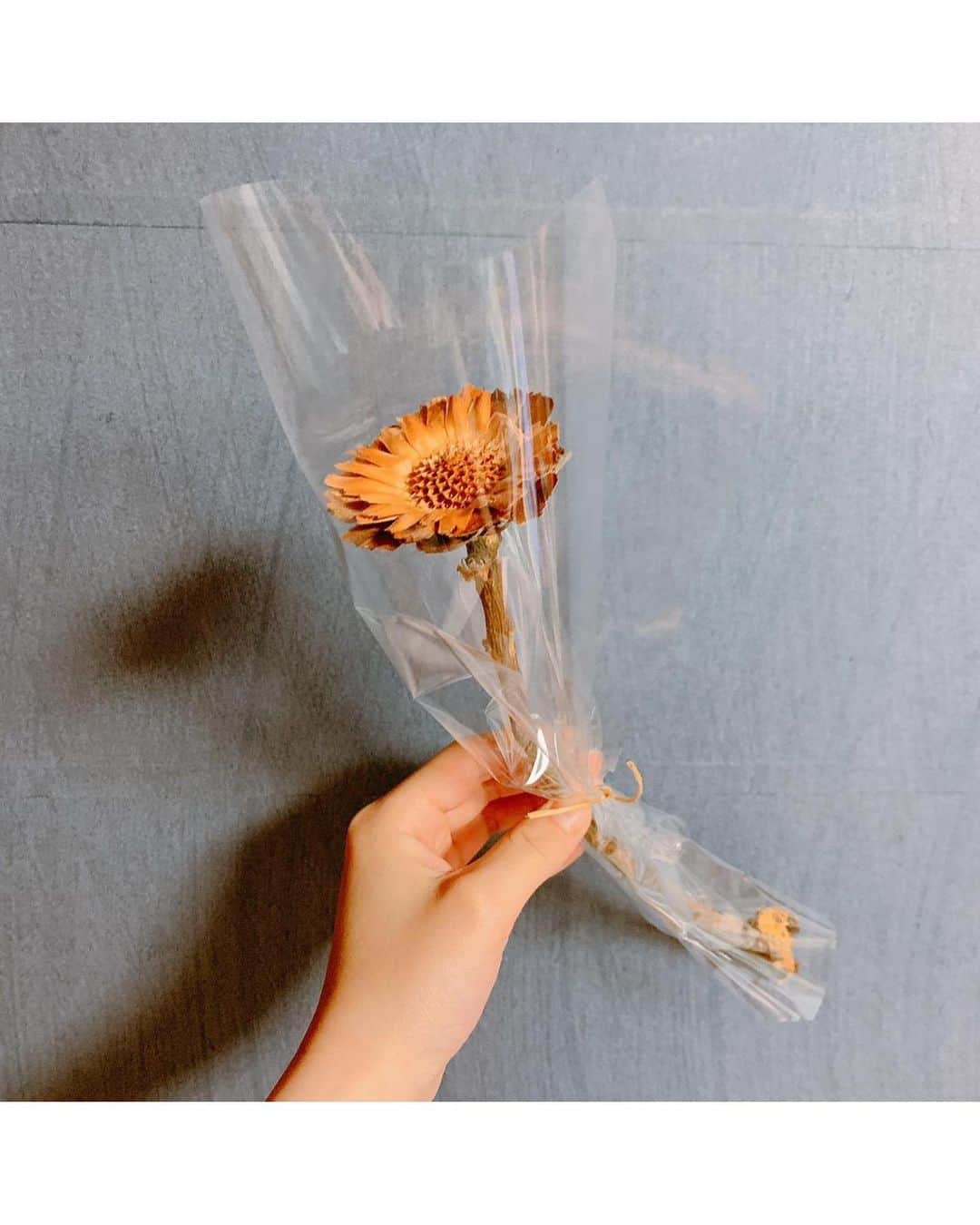 つばきファクトリーさんのインスタグラム写真 - (つばきファクトリーInstagram)「... かわいいお花を見つけて買ってしまいました🤦🏻‍♀️ 👧🏻🌼 とてもお気に入り〜 .  みなさんはいかがお過ごしですか？(^^) 体に気をつけて下さいね☺︎ .  #tsubaki_factory #つばきファクトリー #秋山眞緒 #ドライフラワー　🌻🤍」3月7日 17時06分 - tsubakifactory_official