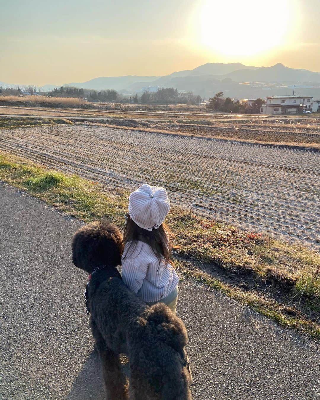 たまねぎさんのインスタグラム写真 - (たまねぎInstagram)「. . くぅさんとゆっくりお散歩　U^ェ^U . . #standardpoodle #dog #lovedogs #poodlesofinstagram #スタンダードプードル #大型犬と子供 #poodle #dogstagram #いぬのいる生活 #もふもふ部 #わんこ部 #子どもと犬 #kidsanddog #ママリ #キズナ #コドモノ #いこーよ #いぬのきもち #犬と暮らす #いぬなしでは生きていけません #フランソワ王国出身 #kubomi #お散歩 #夕日が綺麗 #お散歩は #個別に #3回」3月7日 17時16分 - tamanegi.qoo.riku