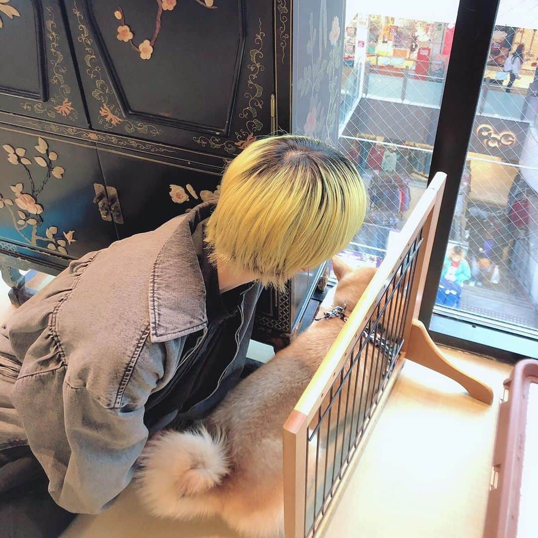 コショージメグミさんのインスタグラム写真 - (コショージメグミInstagram)「いっぬ🐶🐯🐶🐯🐶 @kazi_baziru ばじるといったよ」3月7日 17時18分 - coshotaaaan