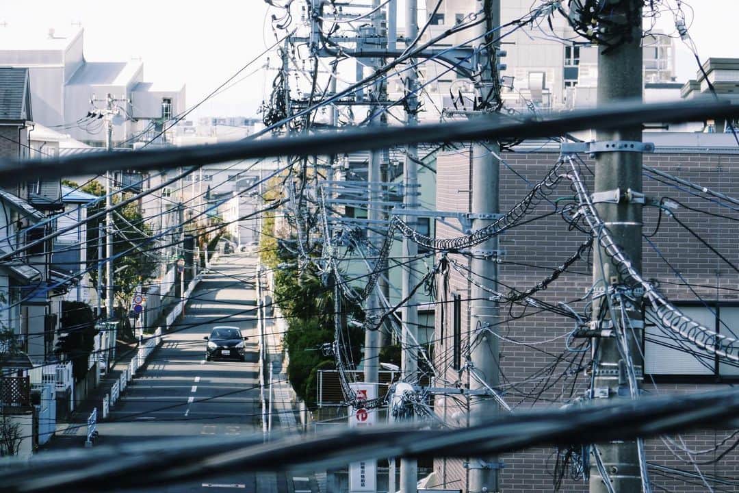 石山蓮華のインスタグラム：「本日3/7は #湘南モノレール 開業50周年です🌷 おめでとうございます！ 湘南モノレールに乗ってお散歩するとこんな #いい電線 も発見できますよ。  #電線 #電柱　#いい線いってる夜 #electric #electriccable #electricalwires #electricwire #electricwirecables  #wwwdc」
