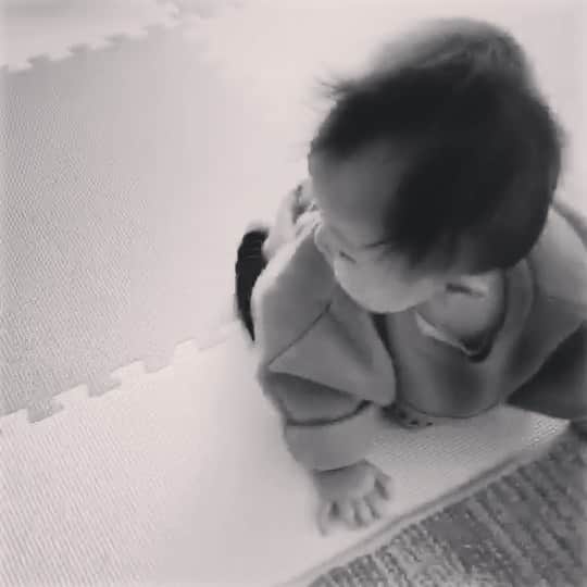大月さゆのインスタグラム：「題名「初めて逃げた日」👶←🐶❤️ #おばバカ日誌 #元気よく話しかけてくる犬がこわい #気になりながらも逃げる #逃げたいときだってあるさ #人間だもの　 #犬さん🐶もう少し待ってあげてね」