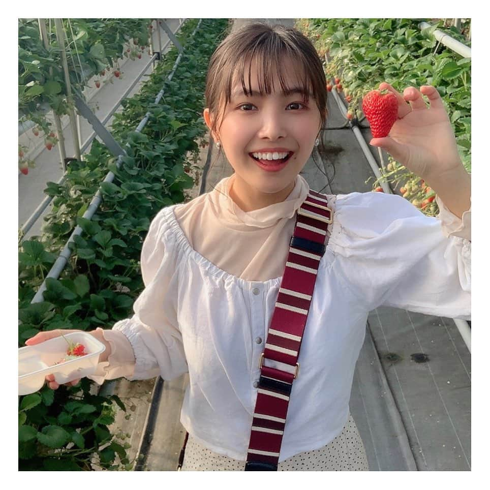 寺本莉緒さんのインスタグラム写真 - (寺本莉緒Instagram)「大きいイチゴとった🍓 . #いちご狩り」3月7日 18時55分 - lespros_rio