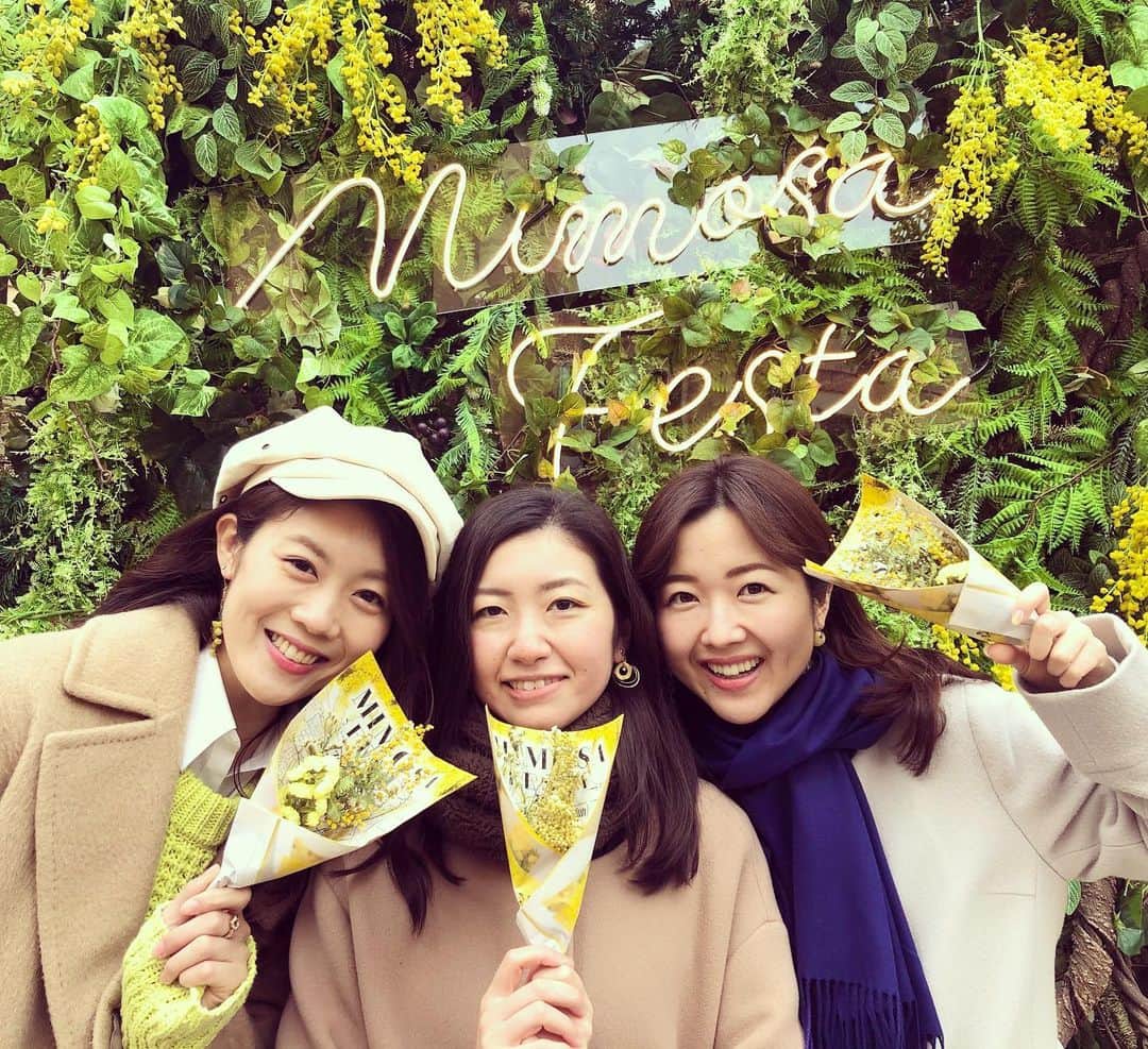 加藤響子さんのインスタグラム写真 - (加藤響子Instagram)「3月8日はミモザの日。 ということでミモザのイベントへ行ってきました。 イタリアでは毎年この時期になると、男性から女性に向けて、感謝の気持ちを込めてミモザの花を送るのだとか💐 感謝・思いやり・友情などの花言葉があるミモザ、大切な人に送ってみてはいかがですか？💛 #mimosafesta #mimosafesta2020 #ミモザの日」3月7日 19時13分 - katokyooooooooo