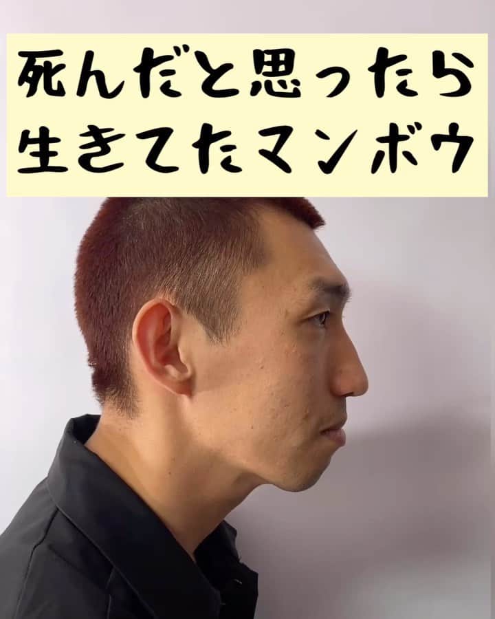 たいゆうきのインスタグラム：「タイの 動物あるあるモノマネ 「死んだと思ったら生きてたマンボウ」  #タイ動物 #動物 #あるある #ものまね  #魚 #fish  #もふもふ  #水族館  #海」