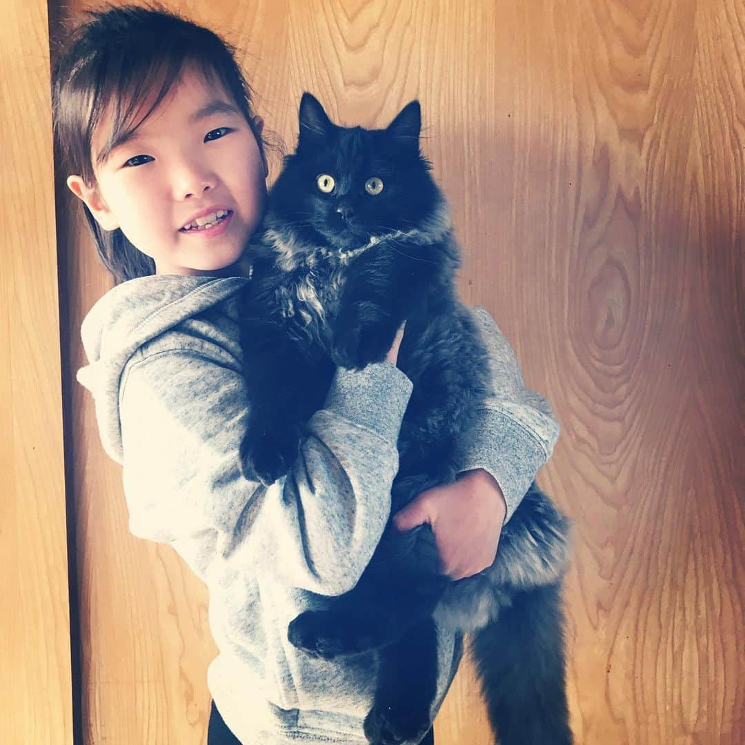 makicocomoさんのインスタグラム写真 - (makicocomoInstagram)「Uiro is a new family of my nephew. ・ ういろー、こんなにでかくなってる！！ サッカーの練習もみんな自粛になり、 ゆっくり実家に帰ることができてます。 新入りういろー、お正月に会った時よりグンと大きくなりすぎてる🤣❗️ 子ネコの成長は早すぎる❗️❗️」3月7日 19時29分 - makicocomo