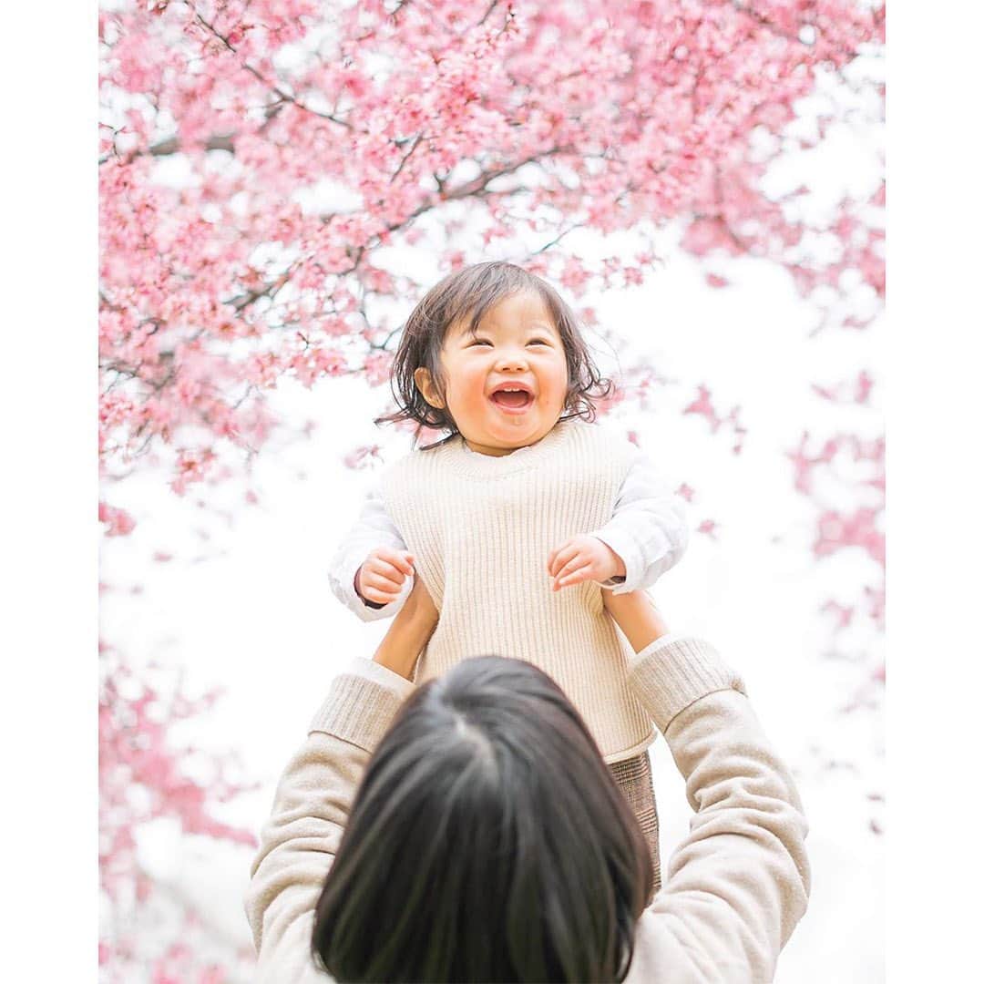 mamagirl ママガールさんのインスタグラム写真 - (mamagirl ママガールInstagram)「. . #mamagirl からピックアップ♥ . . 『桜開花🌸春がやってきました😊』 . 少しずつ暖かい日が増えてきて、桜も咲いてきましたね💓 桜と撮った素敵な写真をピックアップ😍 撮り方も参考にしてみて下さいね♩ . @asaku67 さん @mari_mememe さん @chikako.916 さん @itty_bitty_ll さん @hhtwins21s さん . . タグ付け、そして素敵なお写真ありがとうございます😌💕 . . ----------------------------------------------- mamagirlでは、ママ、パパ、マタニティママ、皆様からの投稿をお待ちしております♪ . 投稿方法は#mamagirl を付けるだけ！ . ✨素敵なお写真は、mamagirl instagram、Facebook、twitter、公式アプリkirarapostの記事内で紹介させていただきます。 . . mamagirlの公式アプリkirarapostではinstagramでは見られないおしゃれママ情報がたくさん！ . プロフィールよりぜひダウンロードしてください❤ . . #桜 #さくら #春の訪れ #お花見 #🌸 #河津桜 #早桜 #桜の名所 #ママカメラ #ママライフ #親バカ部 #桜フォト #男の子ママ #女の子ママ #カメラ女子 #子育てグラム #成長記録 #こどものいる暮らし #赤ちゃんのいる生活 #桜並木 #ママカメラ部 #新米ママ」3月7日 19時58分 - mamagirl_jp