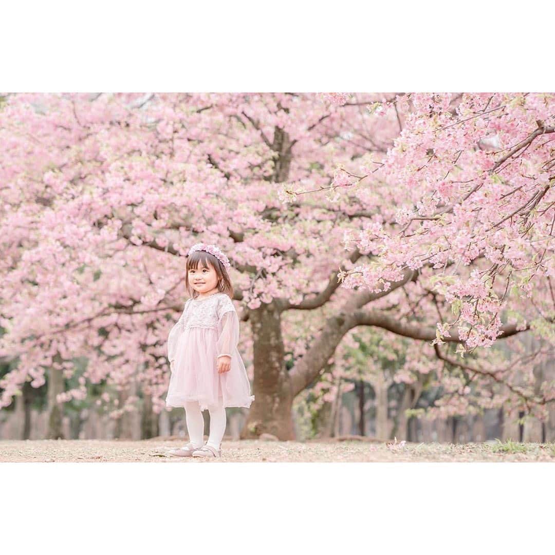 mamagirl ママガールさんのインスタグラム写真 - (mamagirl ママガールInstagram)「. . #mamagirl からピックアップ♥ . . 『桜開花🌸春がやってきました😊』 . 少しずつ暖かい日が増えてきて、桜も咲いてきましたね💓 桜と撮った素敵な写真をピックアップ😍 撮り方も参考にしてみて下さいね♩ . @asaku67 さん @mari_mememe さん @chikako.916 さん @itty_bitty_ll さん @hhtwins21s さん . . タグ付け、そして素敵なお写真ありがとうございます😌💕 . . ----------------------------------------------- mamagirlでは、ママ、パパ、マタニティママ、皆様からの投稿をお待ちしております♪ . 投稿方法は#mamagirl を付けるだけ！ . ✨素敵なお写真は、mamagirl instagram、Facebook、twitter、公式アプリkirarapostの記事内で紹介させていただきます。 . . mamagirlの公式アプリkirarapostではinstagramでは見られないおしゃれママ情報がたくさん！ . プロフィールよりぜひダウンロードしてください❤ . . #桜 #さくら #春の訪れ #お花見 #🌸 #河津桜 #早桜 #桜の名所 #ママカメラ #ママライフ #親バカ部 #桜フォト #男の子ママ #女の子ママ #カメラ女子 #子育てグラム #成長記録 #こどものいる暮らし #赤ちゃんのいる生活 #桜並木 #ママカメラ部 #新米ママ」3月7日 19時58分 - mamagirl_jp