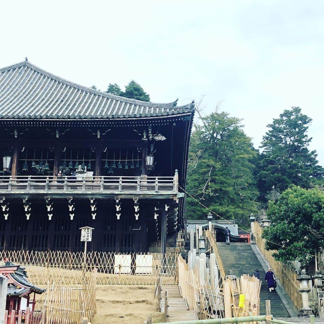 中川政七商店さんのインスタグラム写真 - (中川政七商店Instagram)「「奈良の春を告げる、お松明。」﻿ ﻿ ここ奈良の地では、奈良時代から1000年以上続く東大寺の「修二会」が始りました。﻿ 通称「お水取り」とも呼ばれるこの行事は、身を清めた僧侶が荒行によって懺悔し祈りをあげ、社会の平穏や五穀豊穣を祈願するものです。﻿ ﻿ 天平勝宝4年（752）に創始して以来、一度も絶えることなく続く、不退の行。﻿ ﻿ お水取りのクライマックスともいえる「お松明」は、奈良の街を一望できる舞台の上を、火の点いた大きな松明を持って駆け回る姿が印象的です。﻿ ﻿ わたしも初めて奈良へ移り住んで目の当たりにしたとき、その厳粛さと力溢れる様子に、涙がこぼれたのを覚えています。﻿ ﻿ #中川政七商店﻿ #お水取り #東大寺 #奈良 #奈良が好き #奈良の鹿 #お松明 #修二会 #nara #narapark #narajapan ﻿」3月7日 20時12分 - nakagawamasa7