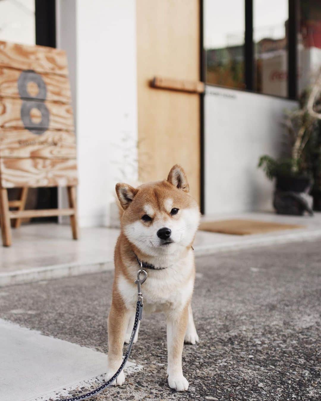 EIGHT DESIGNのグルメインスタ